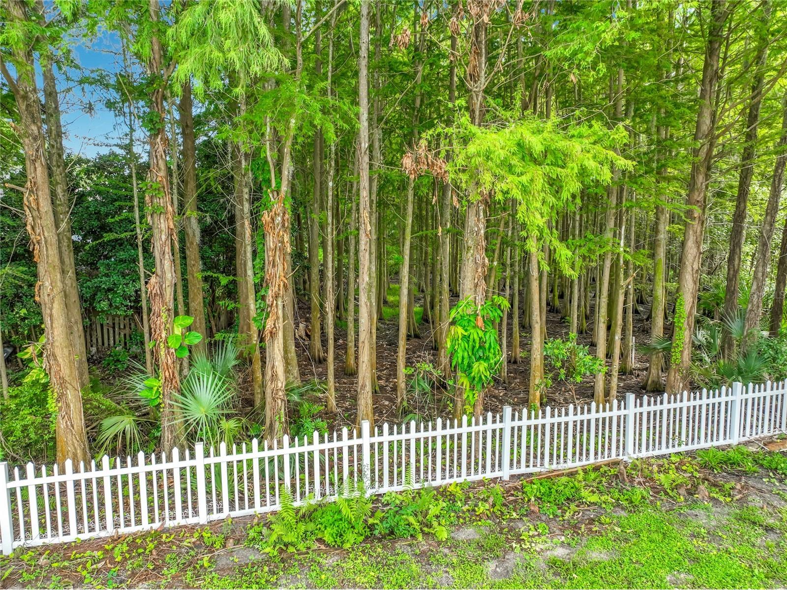 3020 Hartland Court Orlando FL 32825 S5153100 image84