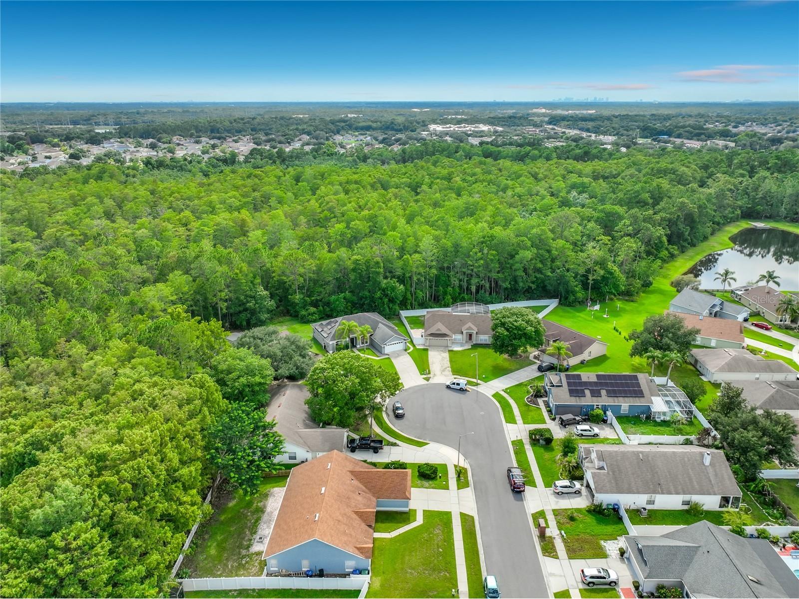 3020 Hartland Court Orlando FL 32825 S5153100 image88