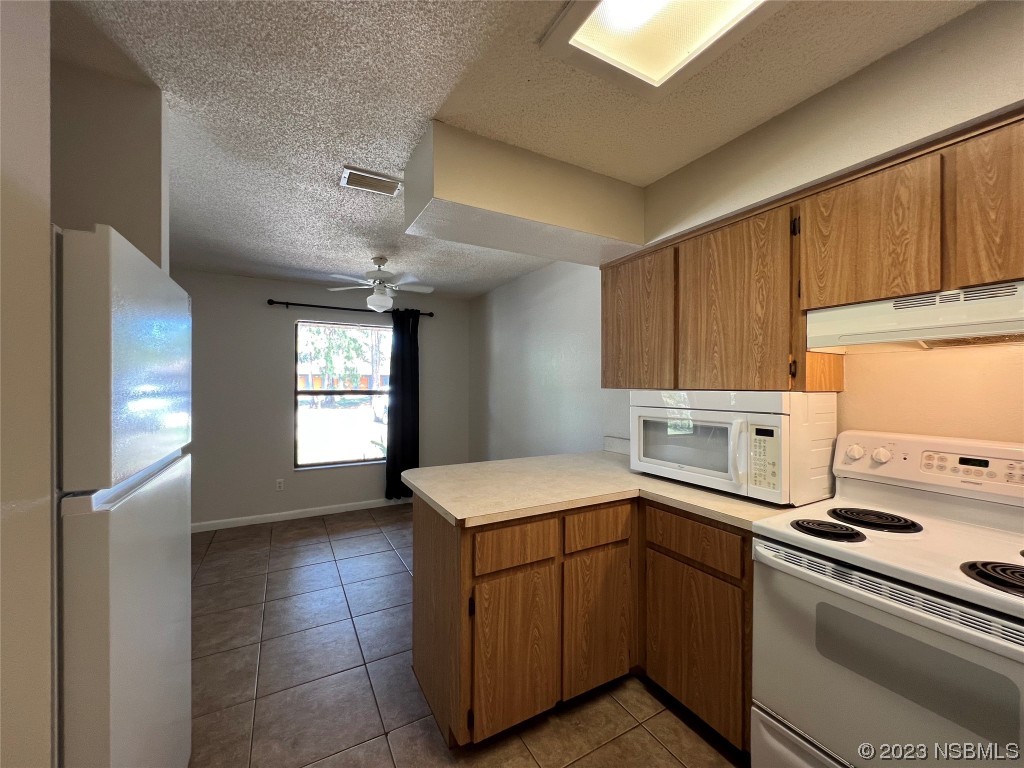 3020 India Palm Drive Edgewater FL 32141 NS1075030 image1