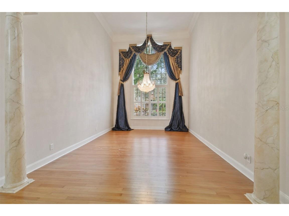 3020 Kensington Trace Tarpon Springs FL 34688 TB8438110 image15