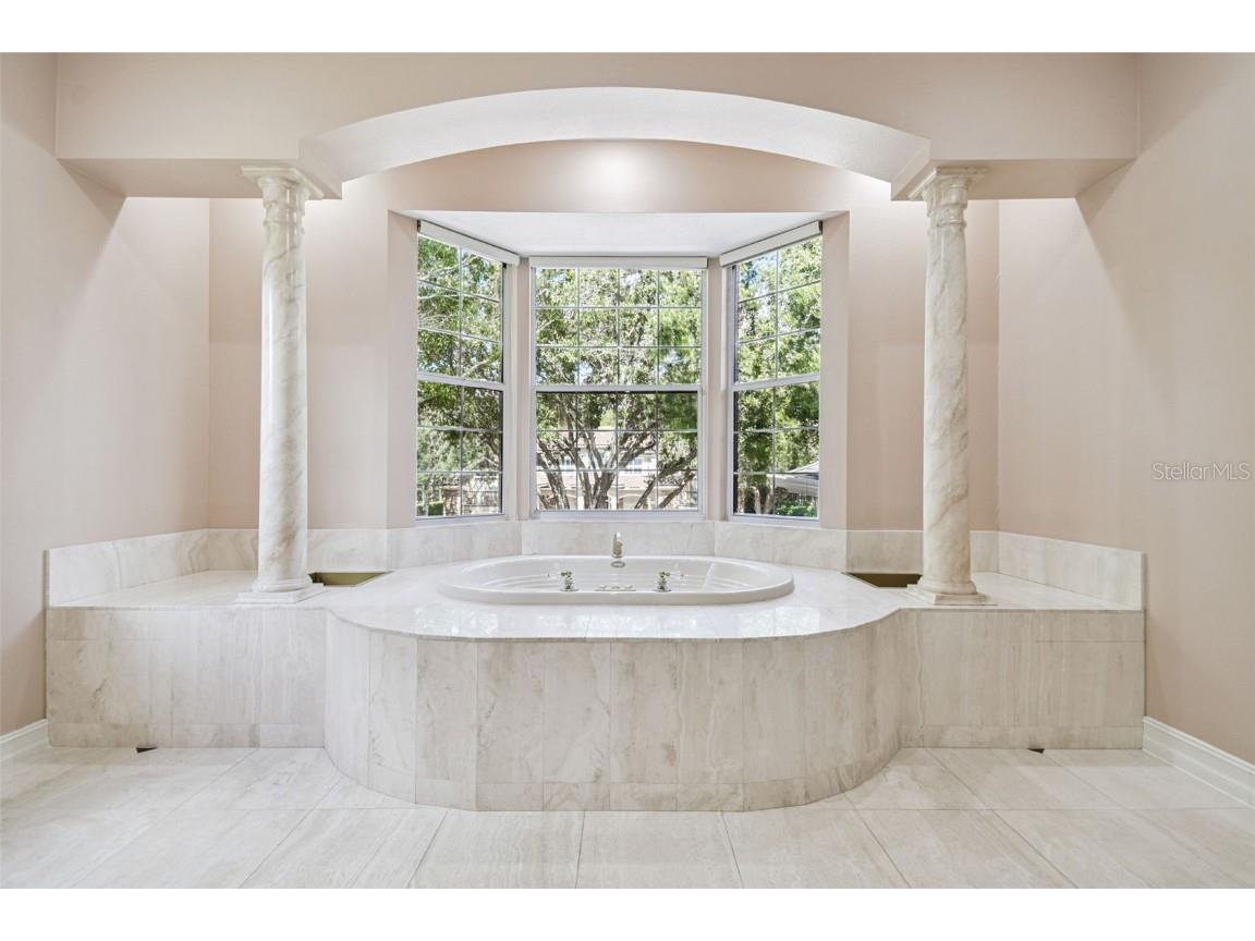 3020 Kensington Trace Tarpon Springs FL 34688 TB8438110 image32