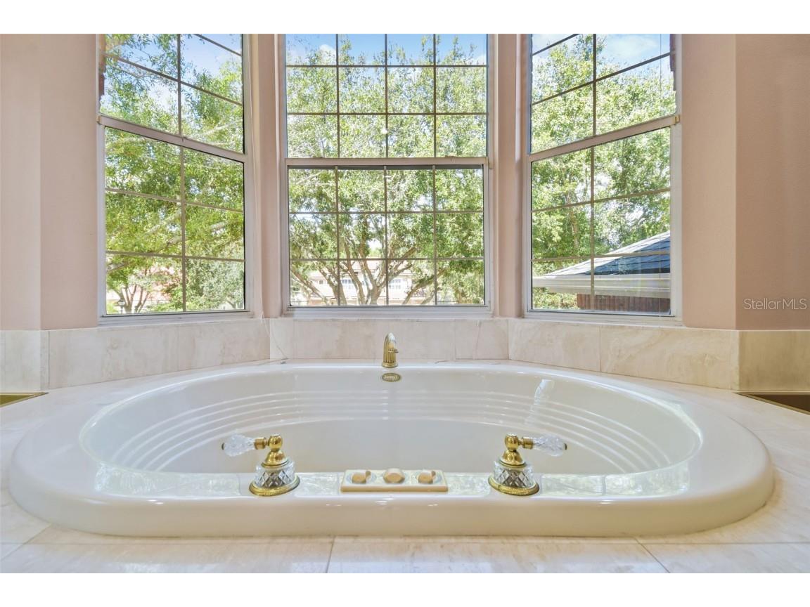 3020 Kensington Trace Tarpon Springs FL 34688 TB8438110 image33