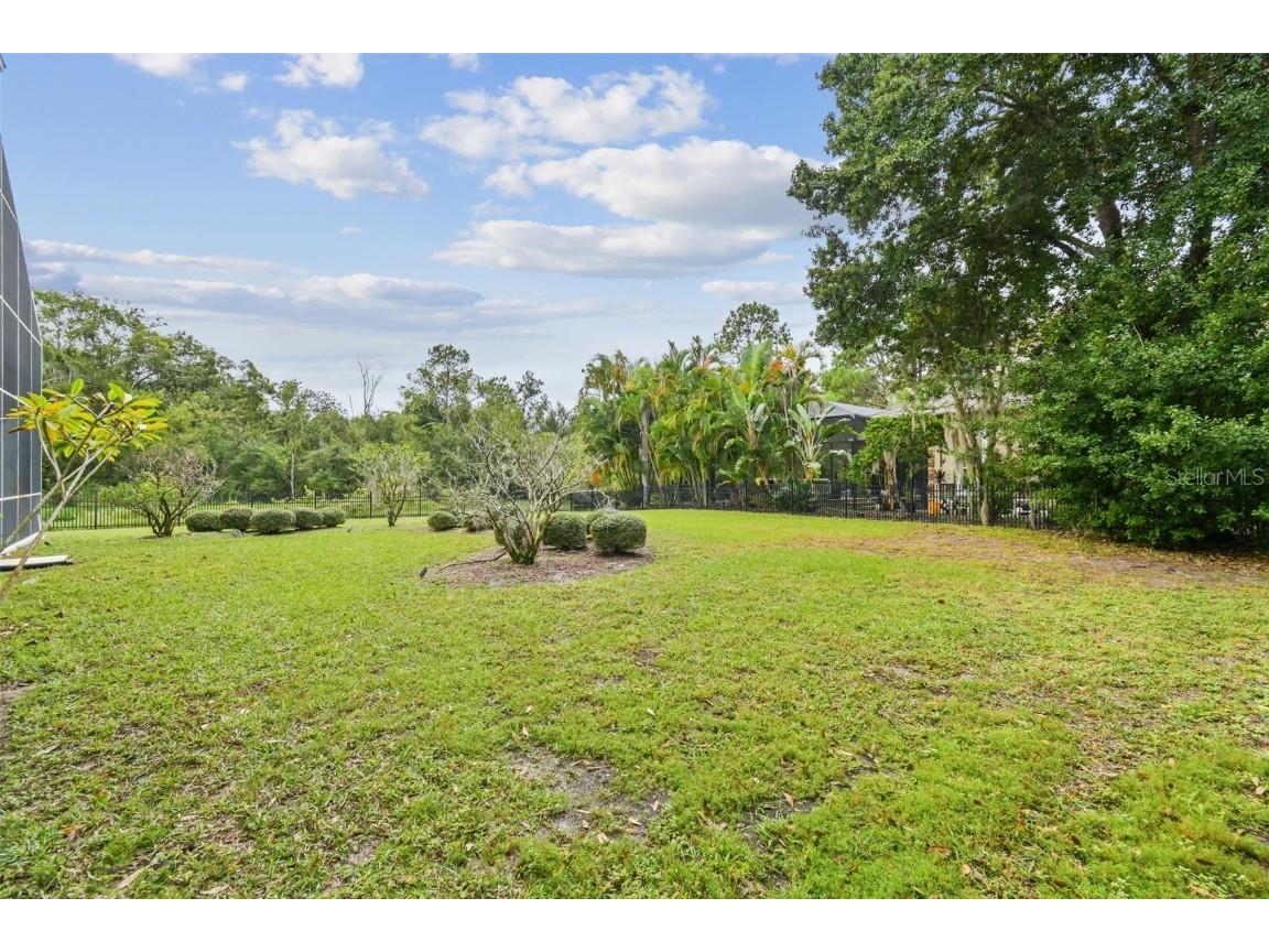 3020 Kensington Trace Tarpon Springs FL 34688 TB8438110 image71