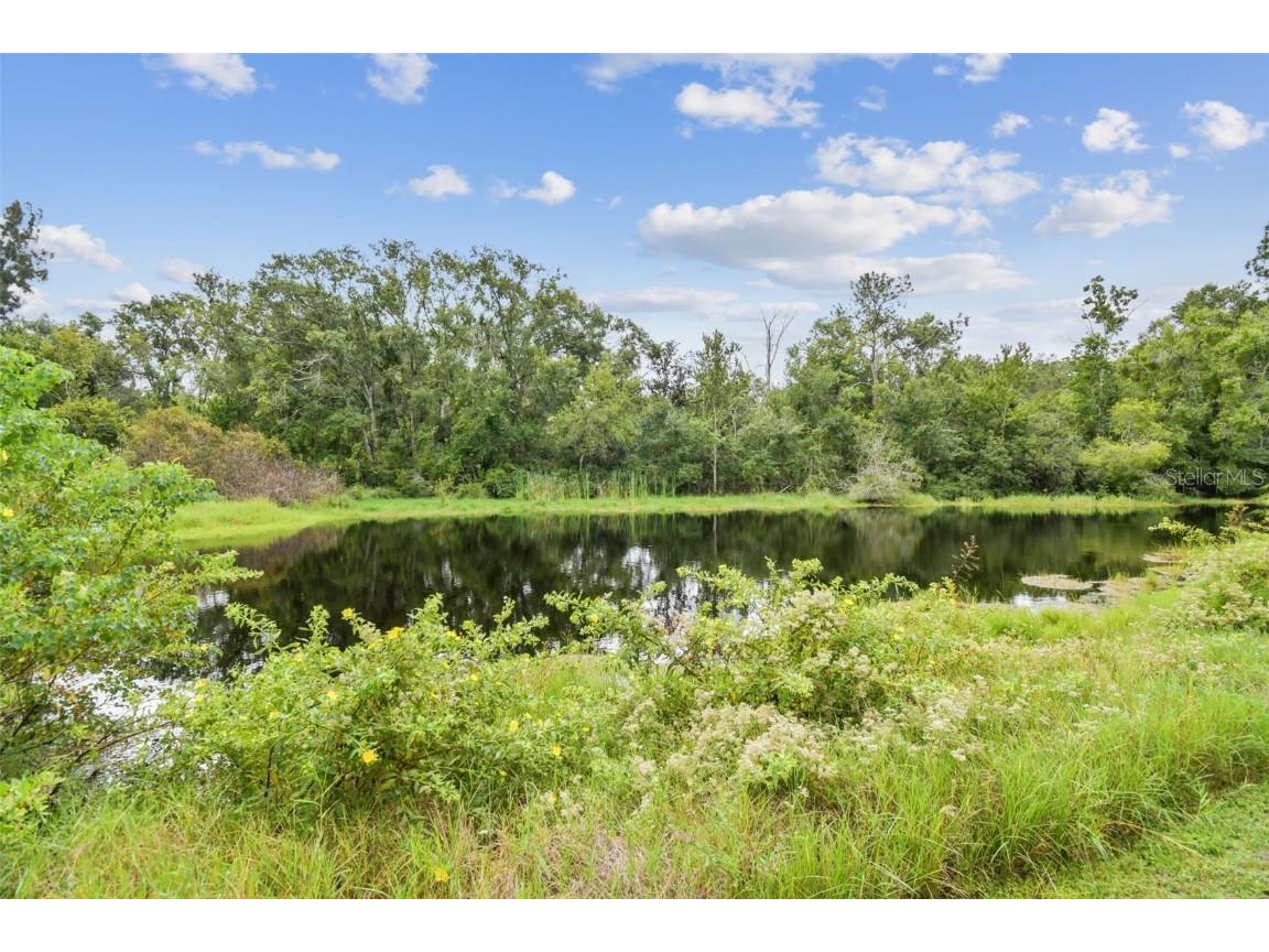 3020 Kensington Trace Tarpon Springs FL 34688 TB8438110 image80