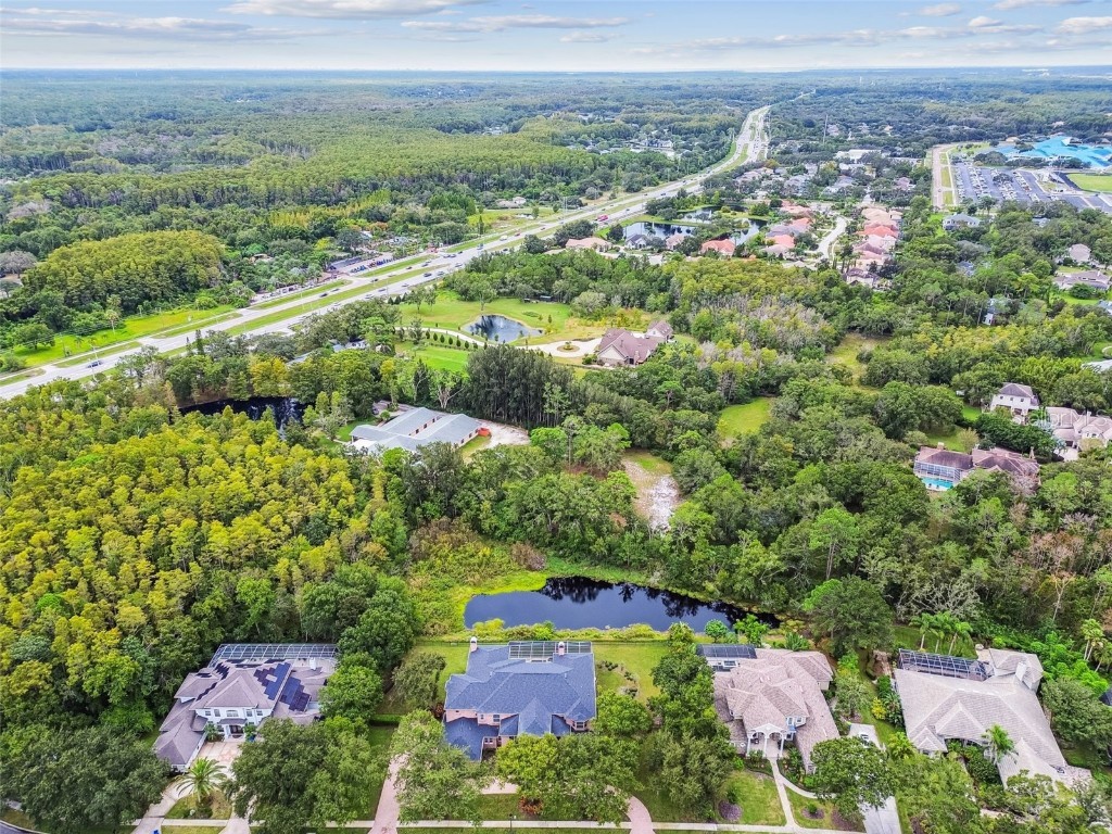 3020 Kensington Trace Tarpon Springs FL 34688 TB8438110 image83