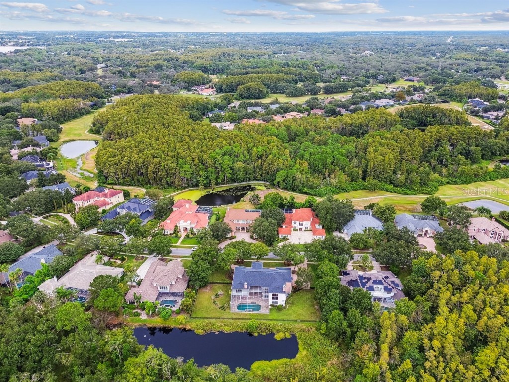 3020 Kensington Trace Tarpon Springs FL 34688 TB8438110 image84