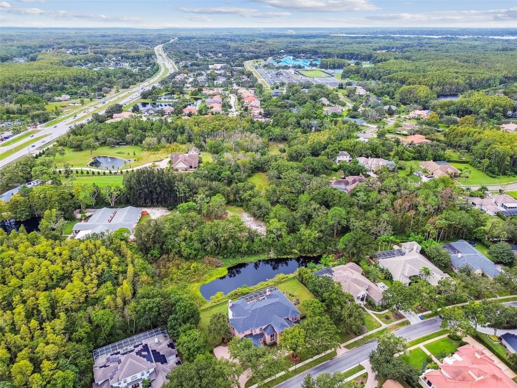 3020 Kensington Trace Tarpon Springs FL 34688 TB8438110 image85