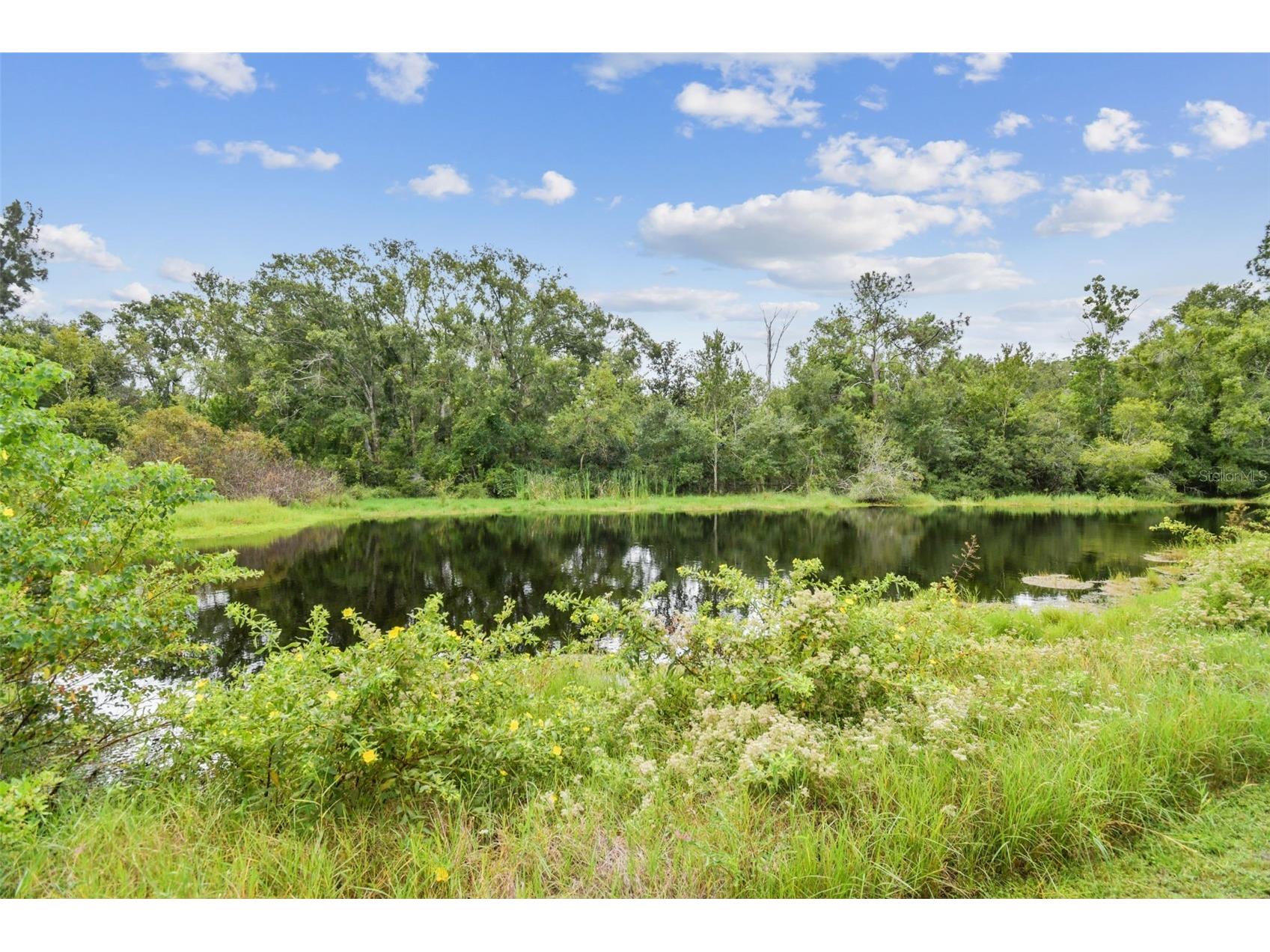 3020 Kensington Trace Tarpon Springs FL 34688 TB8473834 image41