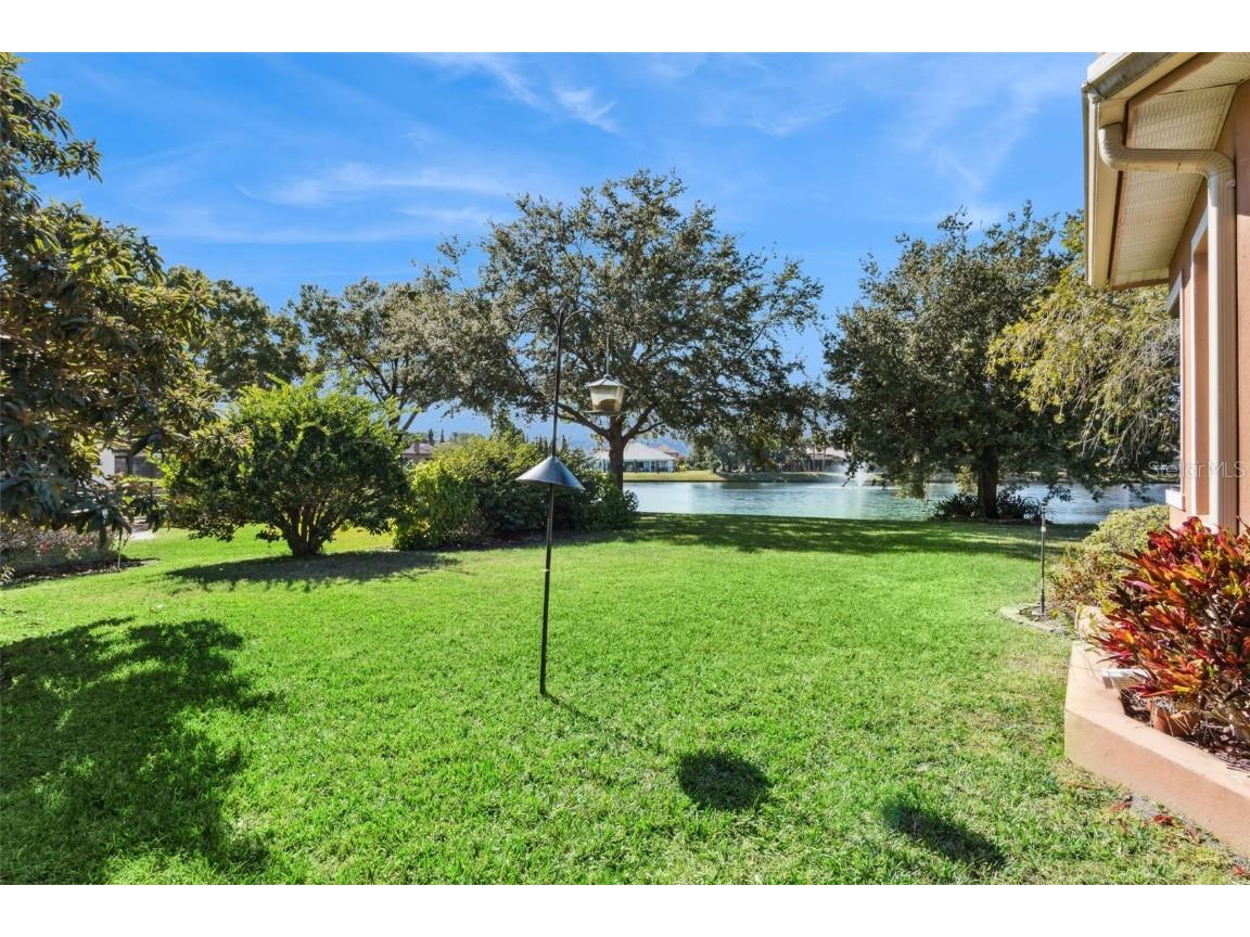 3020 Palermo Court Mount Dora FL 32757 G5104848 image42