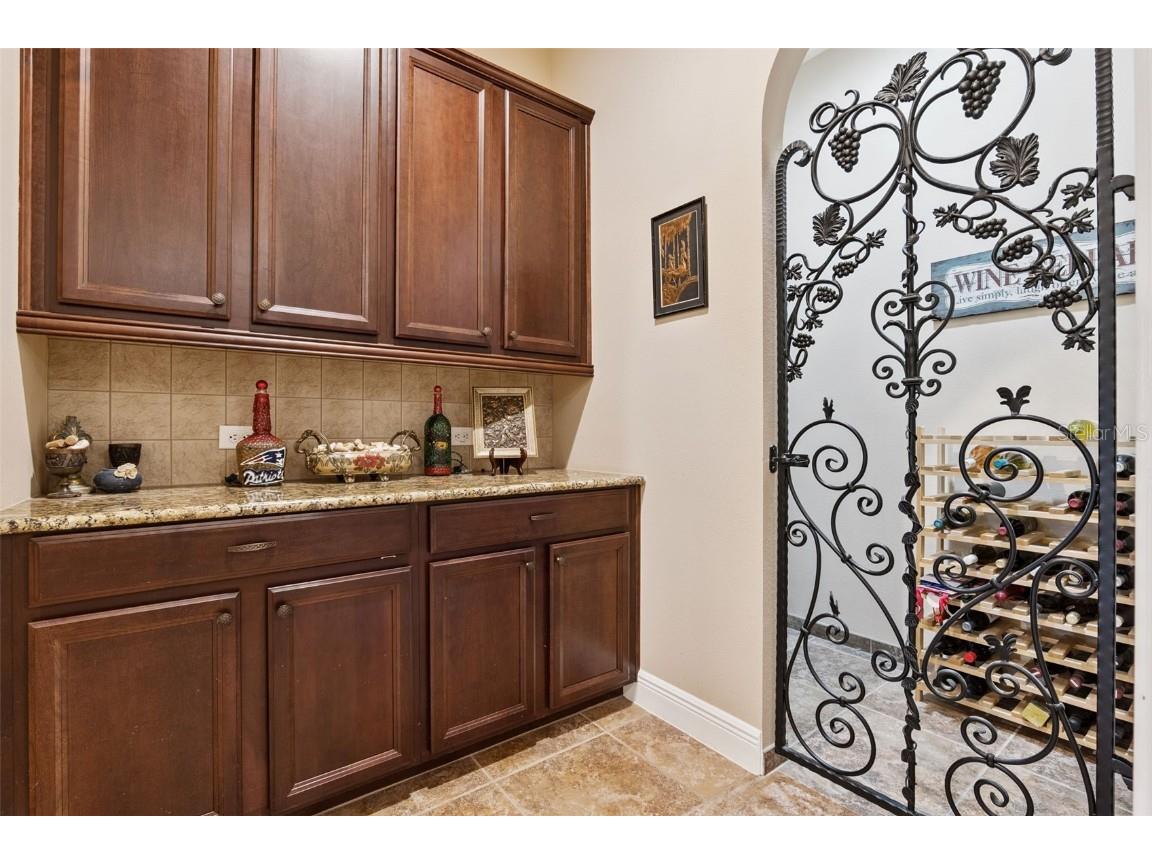 3020 Palermo Court Mount Dora FL 32757 G5104848 image9