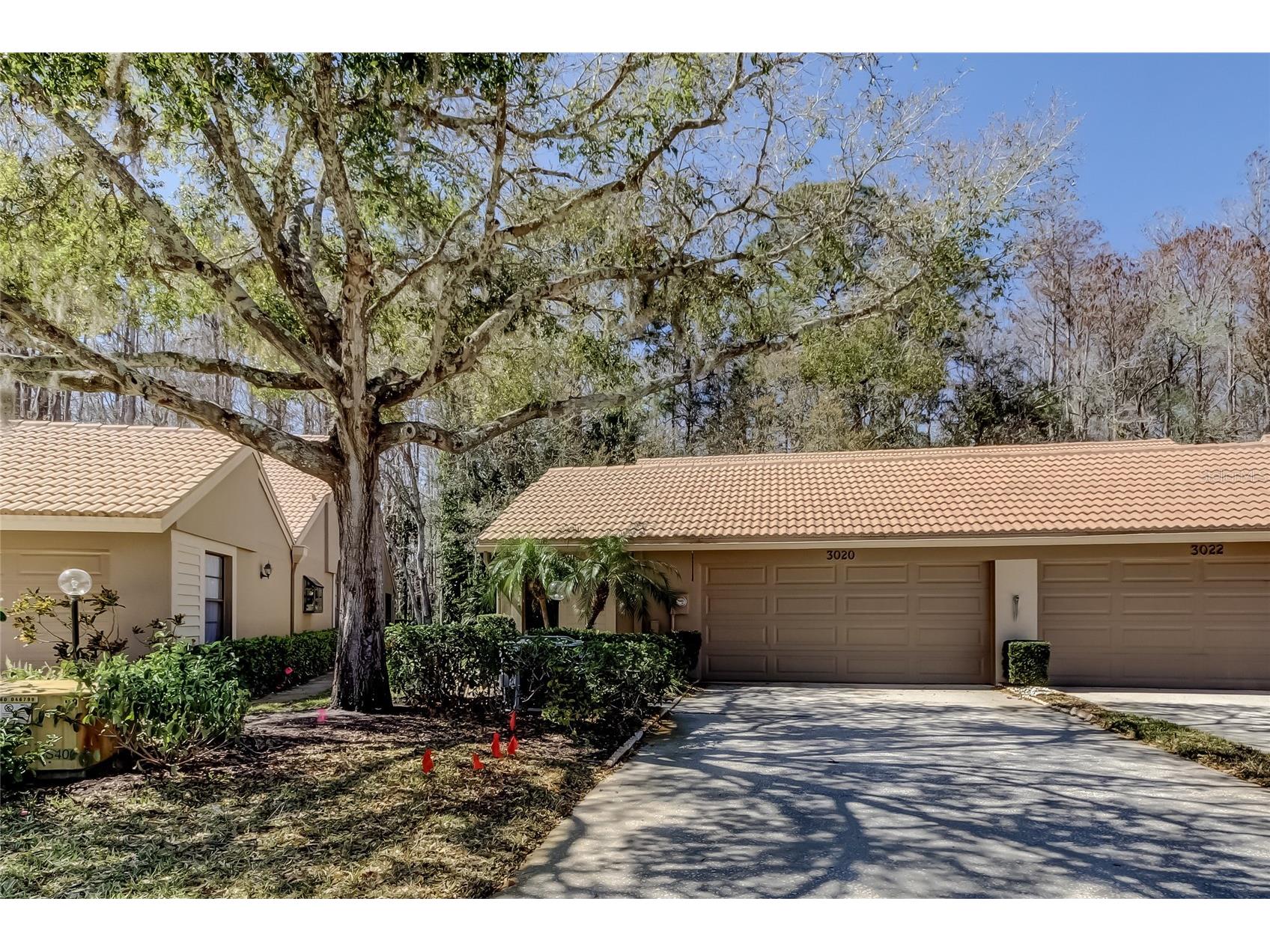 3020 Windmoor Drive Palm Harbor FL 34685 TB8480382 image1