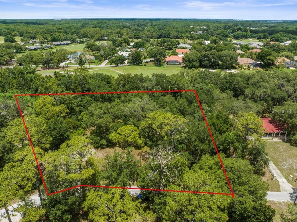 30201 Lynne Drive Wesley Chapel FL 33543 T3537525 image1