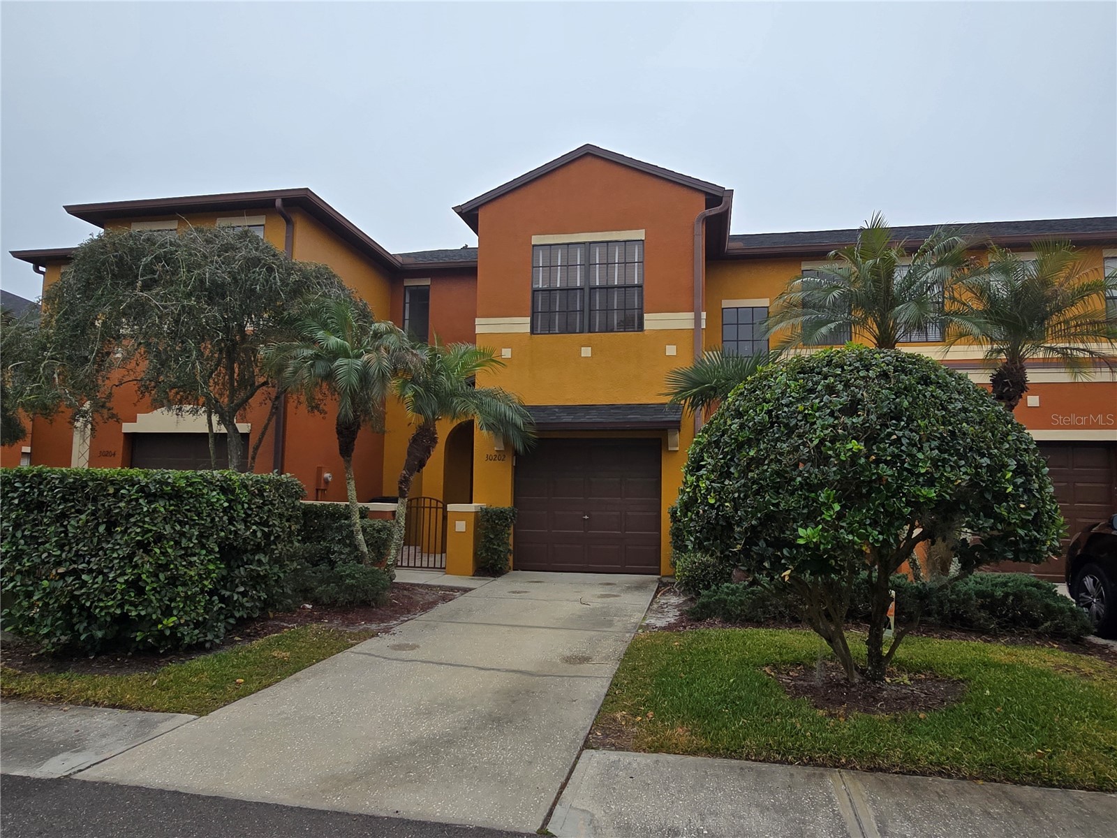 30202 Goodwick Way Wesley Chapel FL 33543 TB8491657 image2