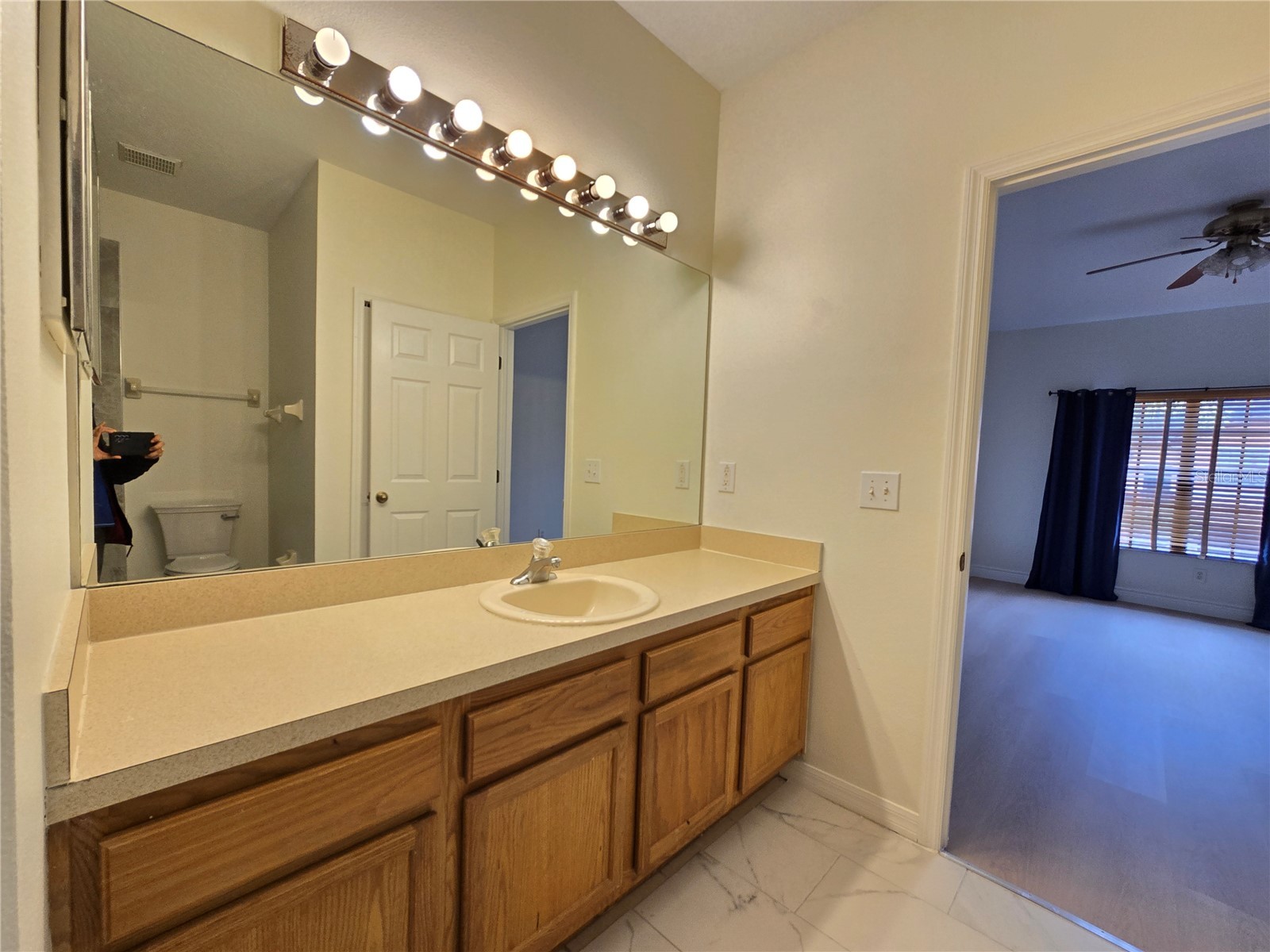 30202 Goodwick Way Wesley Chapel FL 33543 TB8491657 image29