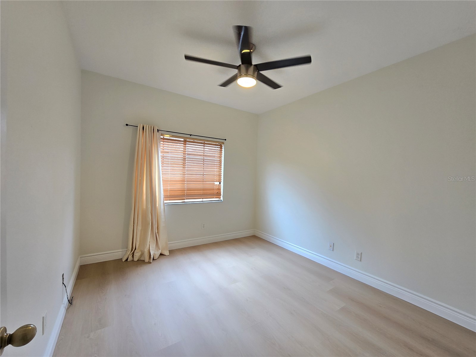 30202 Goodwick Way Wesley Chapel FL 33543 TB8491657 image37