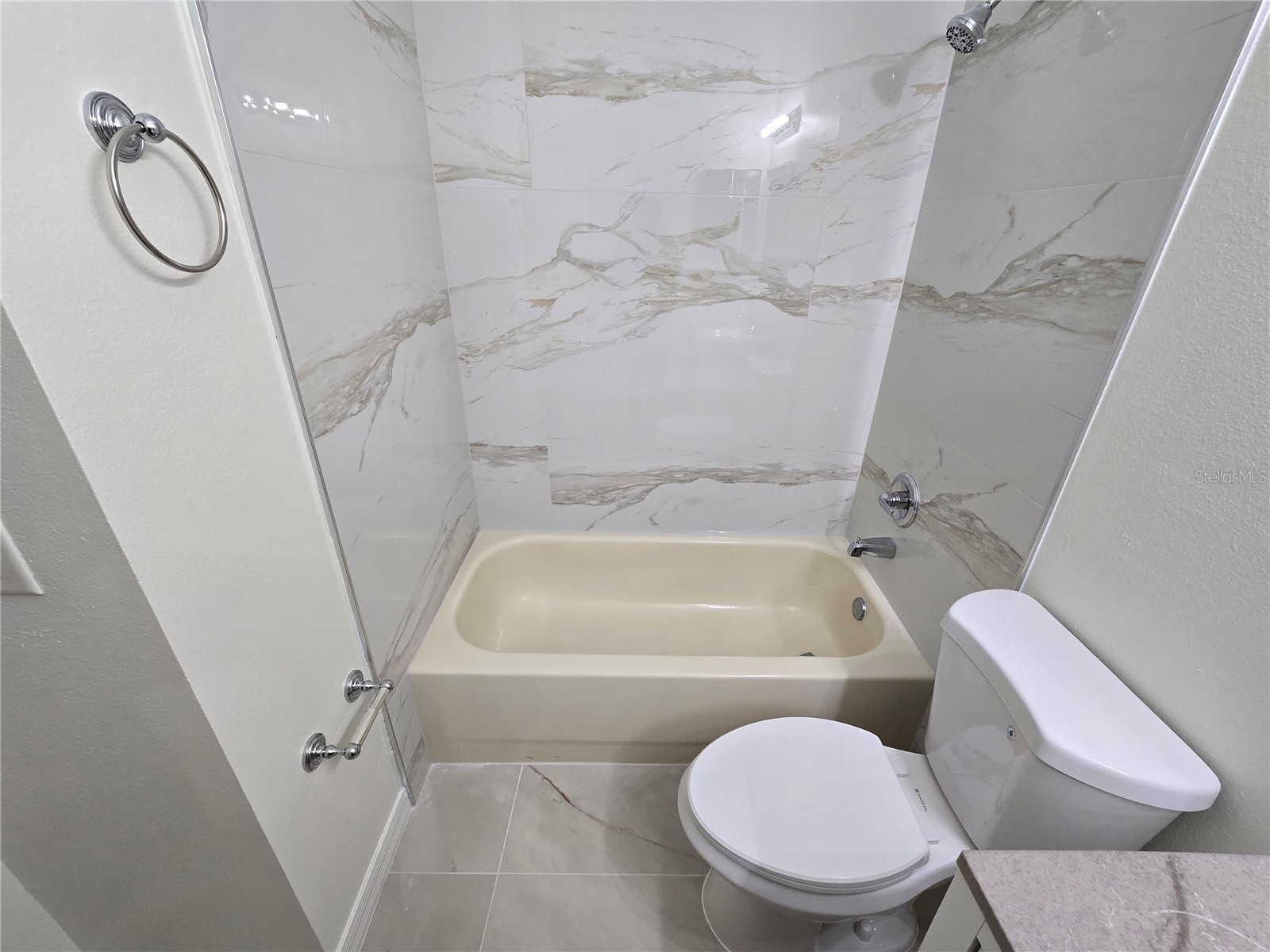 30202 Goodwick Way Wesley Chapel FL 33543 TB8491657 image41