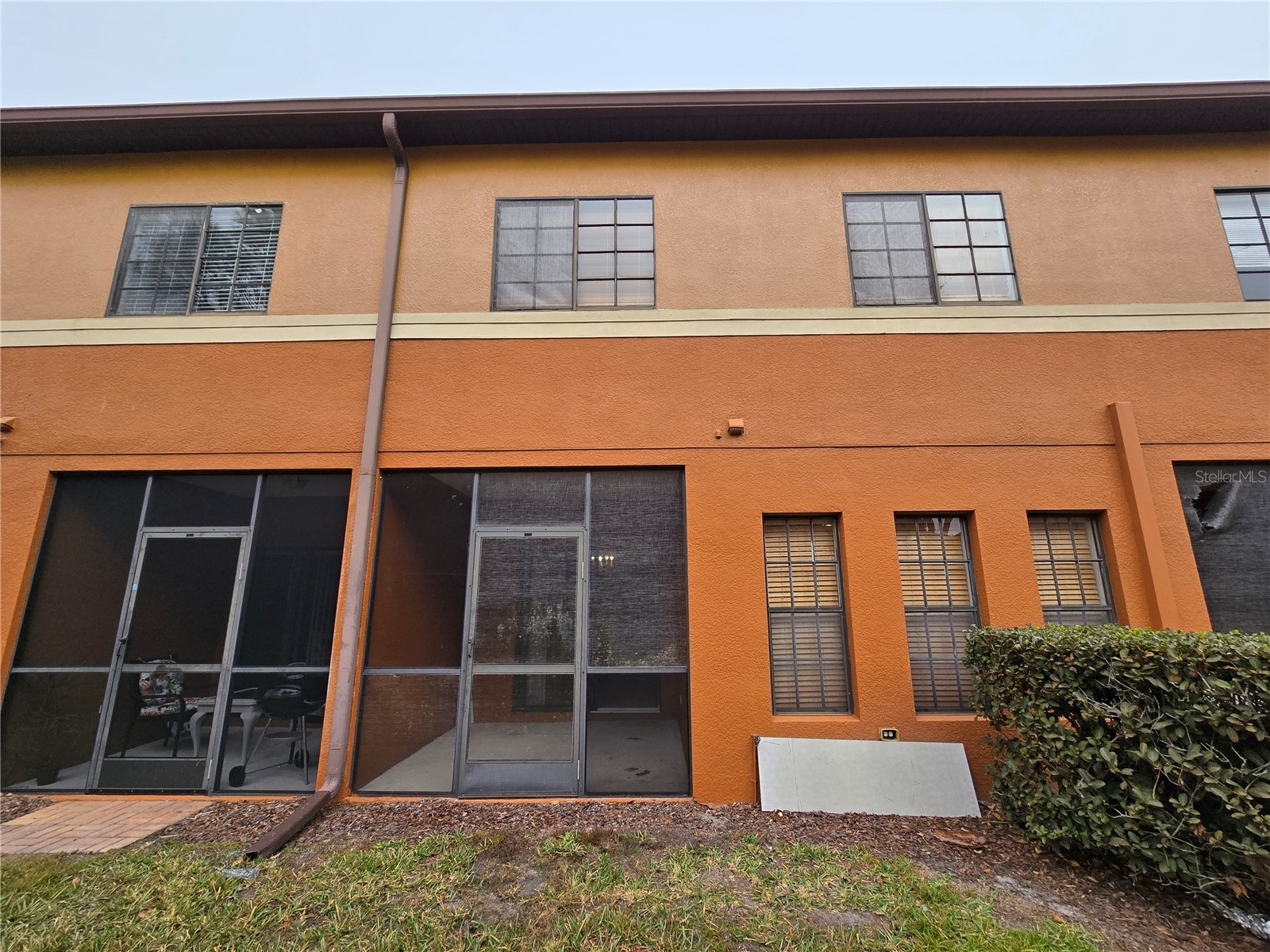 30202 Goodwick Way Wesley Chapel FL 33543 TB8491657 image44