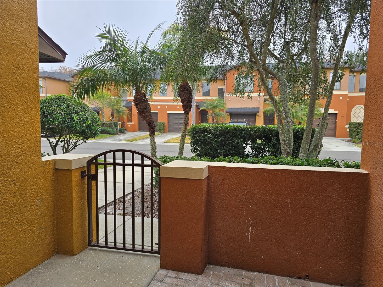 30202 Goodwick Way Wesley Chapel FL 33543 TB8491657 image7