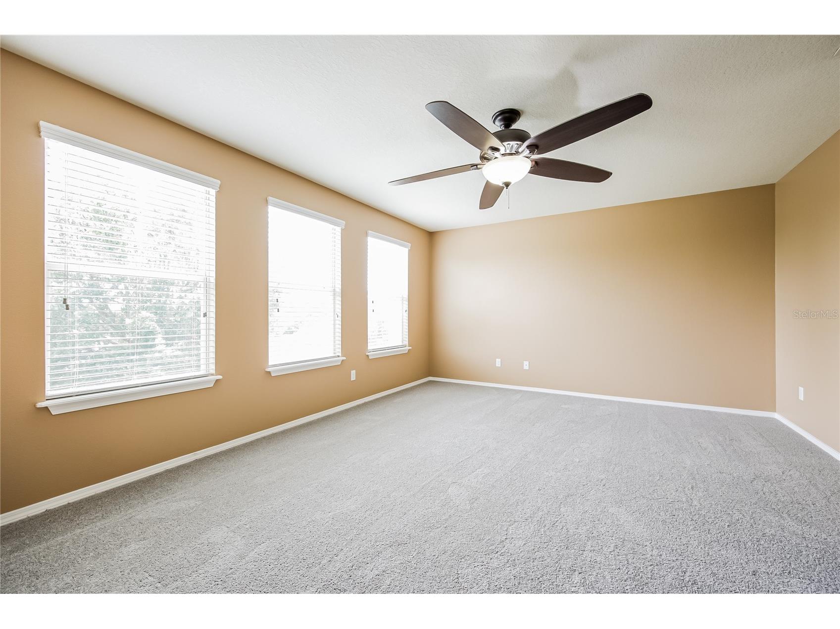 30207 Cheval Street Mount Dora FL 32757 TB8478166 image14