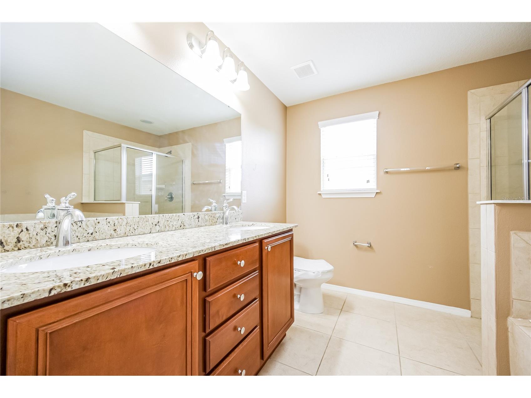 30207 Cheval Street Mount Dora FL 32757 TB8478166 image16