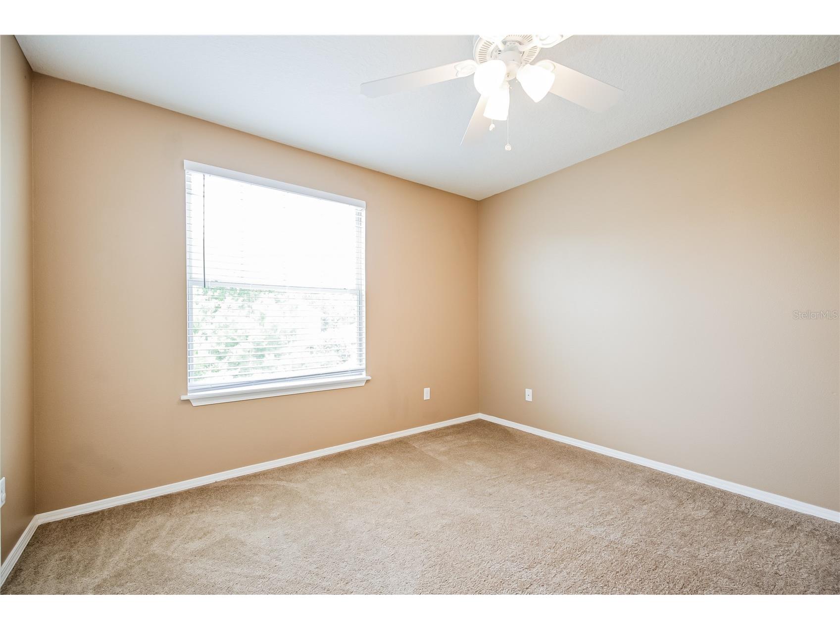 30207 Cheval Street Mount Dora FL 32757 TB8478166 image17