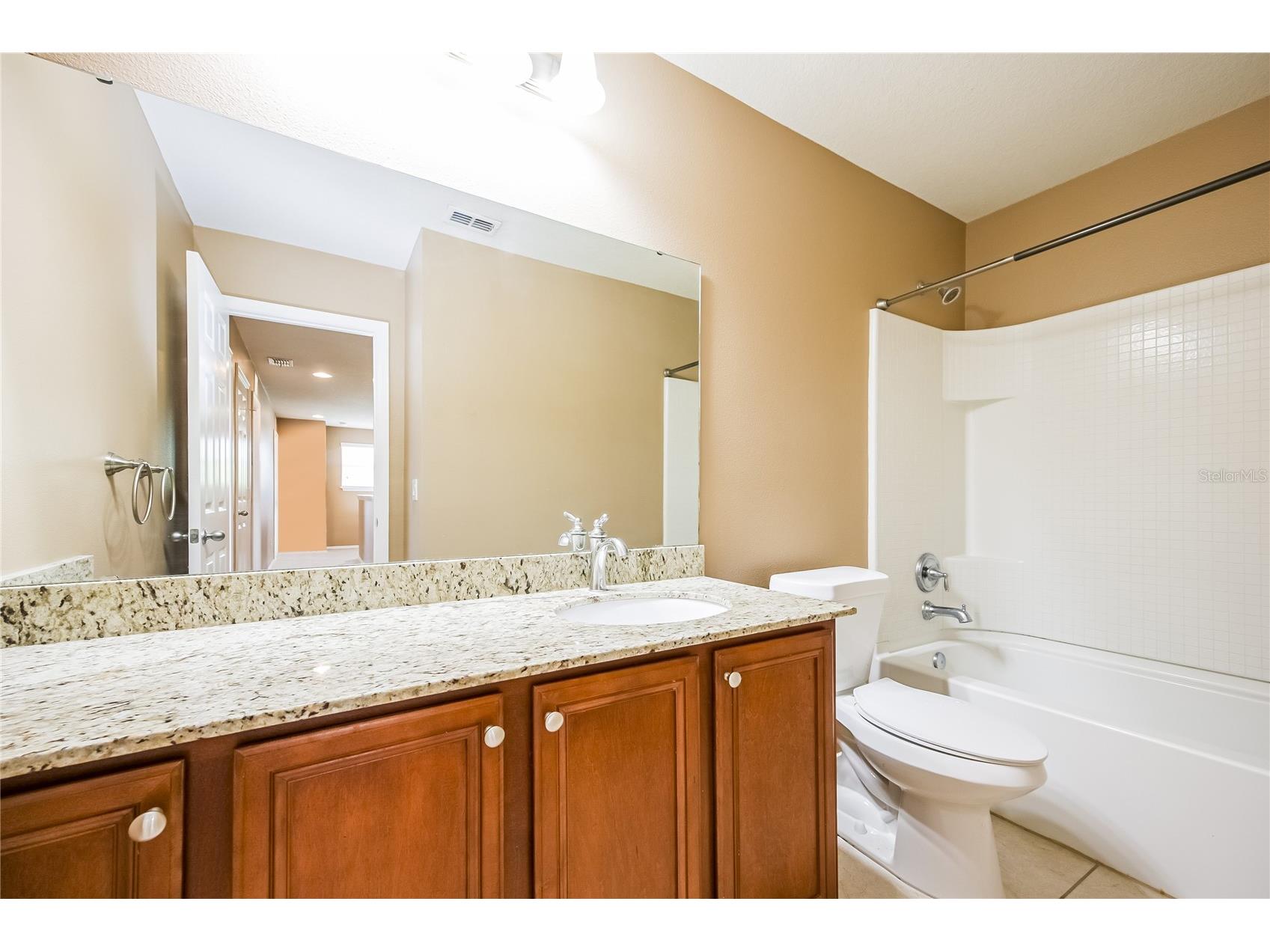 30207 Cheval Street Mount Dora FL 32757 TB8478166 image18