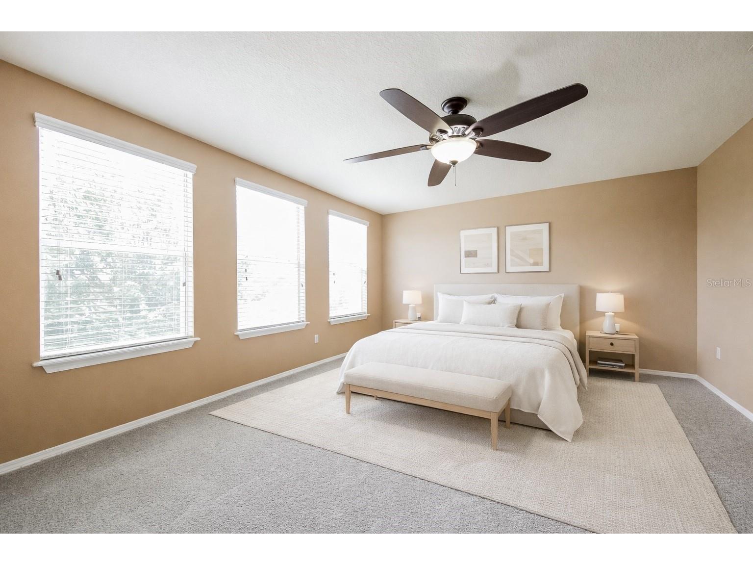 30207 Cheval Street Mount Dora FL 32757 TB8478166 image5