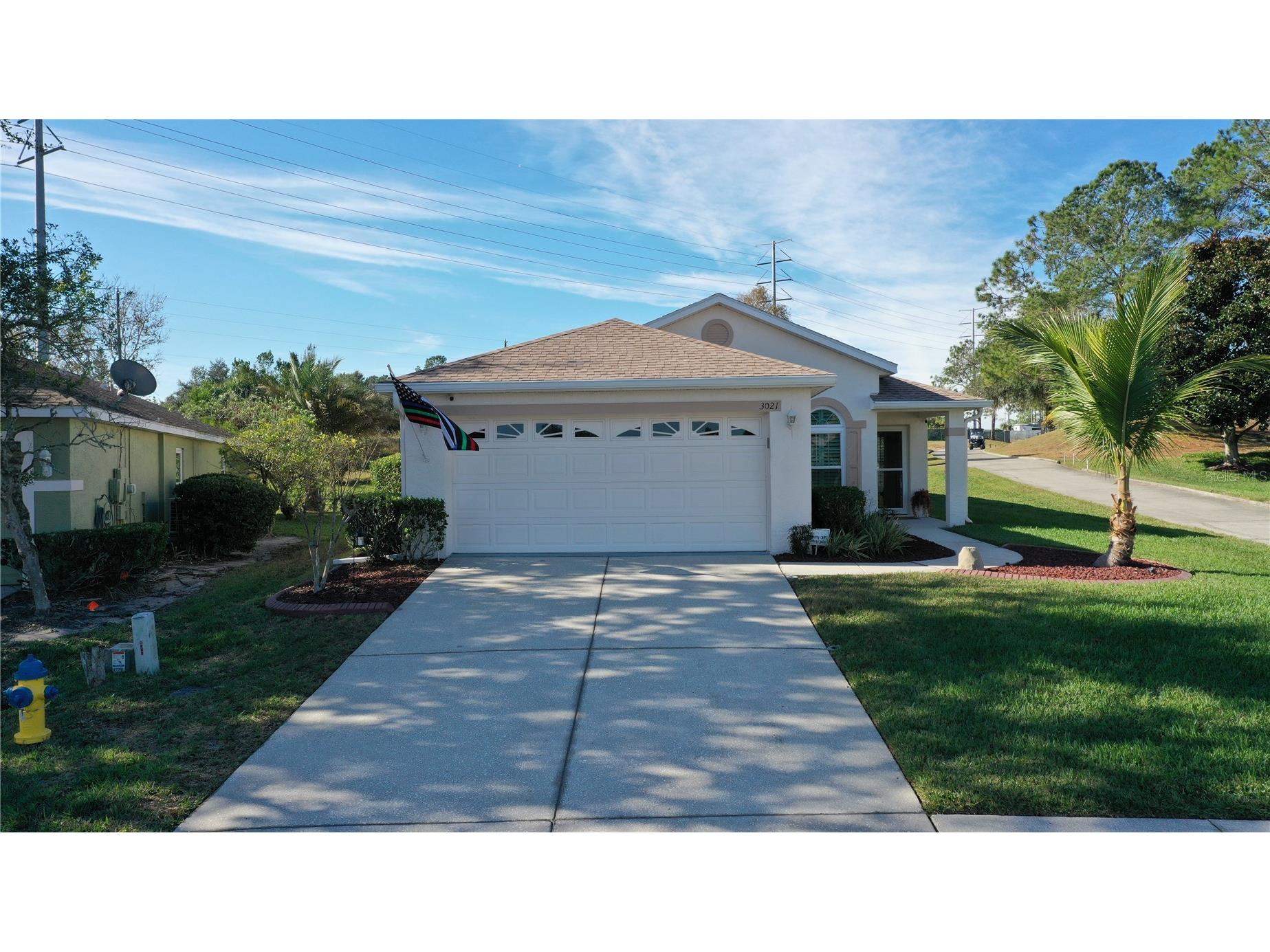 3021 Banyan Hill Lane Land O Lakes FL 34639 TB8455285 image1