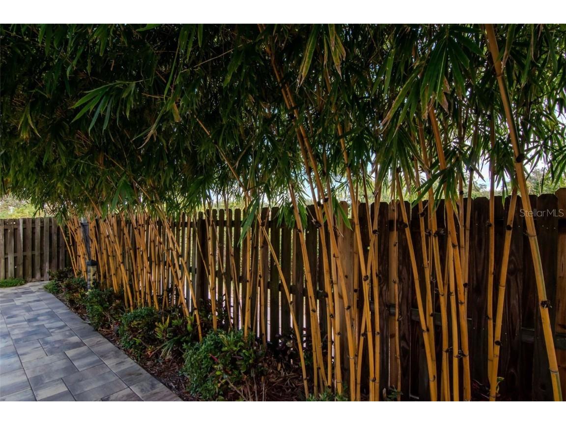 3021 Brookfield Lane Clearwater FL 33761 TB8455629 image38