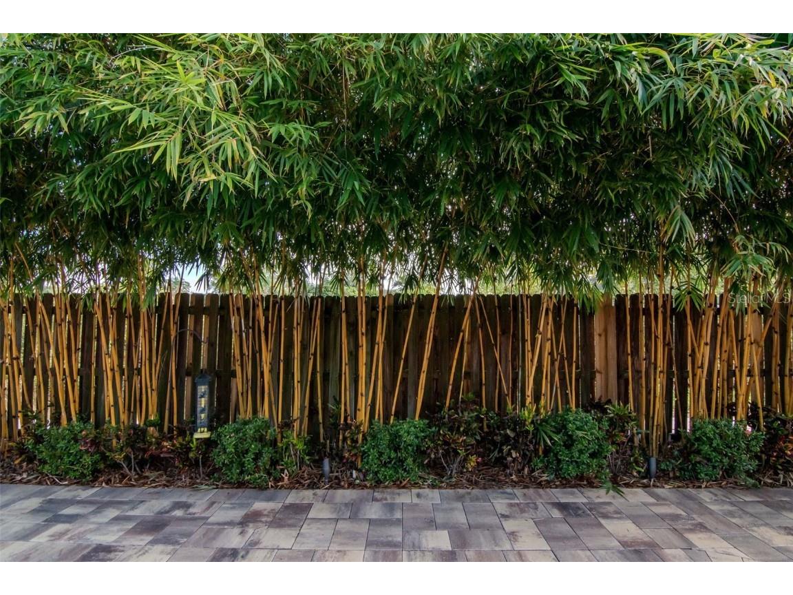 3021 Brookfield Lane Clearwater FL 33761 TB8455629 image39