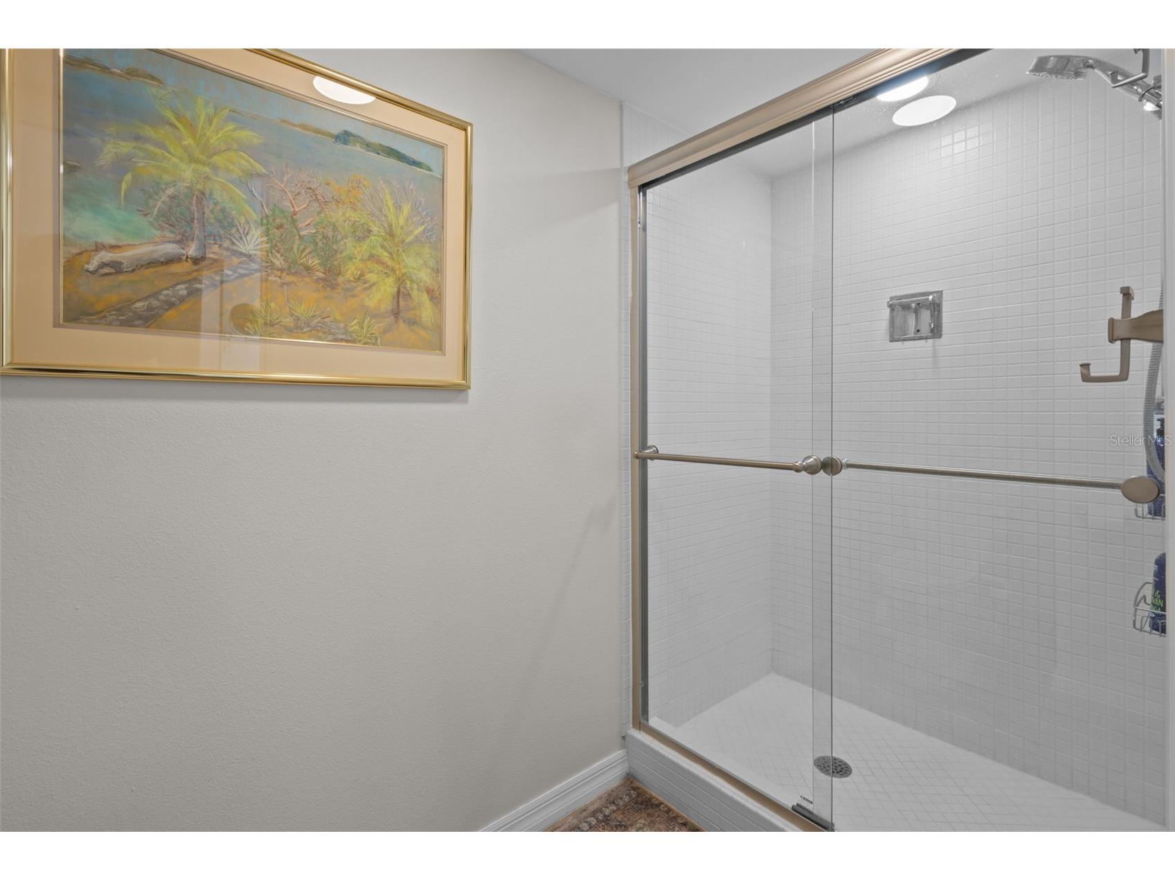 3021 Countryside Boulevard #21A Clearwater FL 33761 TB8519033 image16