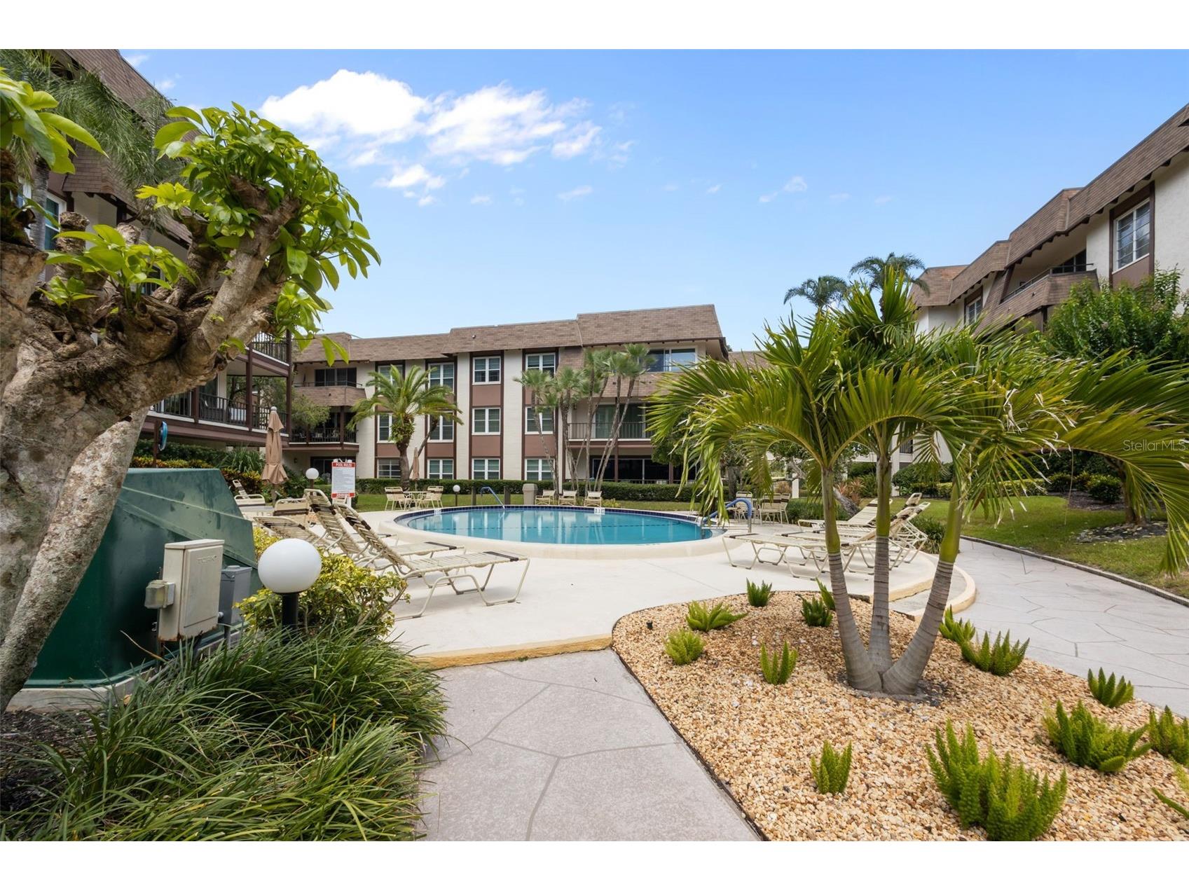 3021 Countryside Boulevard #21A Clearwater FL 33761 TB8519033 image25