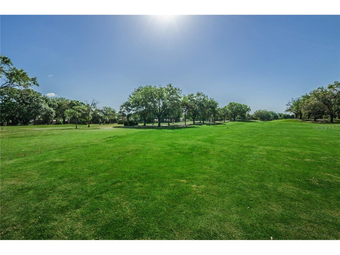 3021 Countryside Boulevard #26A Clearwater FL 33761 TB8439039 image39