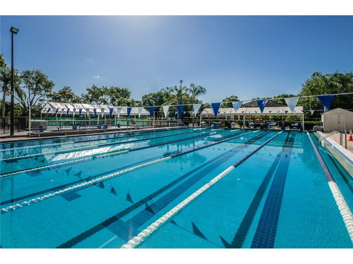 3021 Countryside Boulevard #26A Clearwater FL 33761 TB8439039 image42