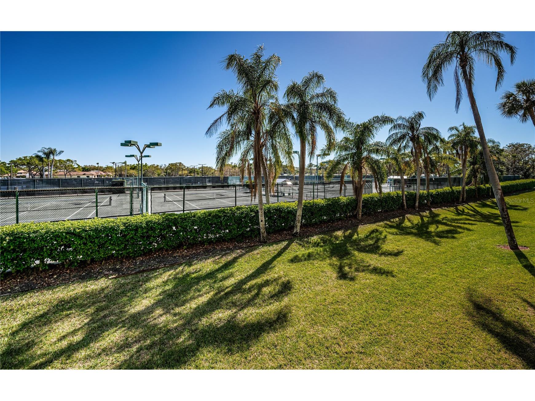 3021 Countryside Boulevard #26A Clearwater FL 33761 TB8515637 image10