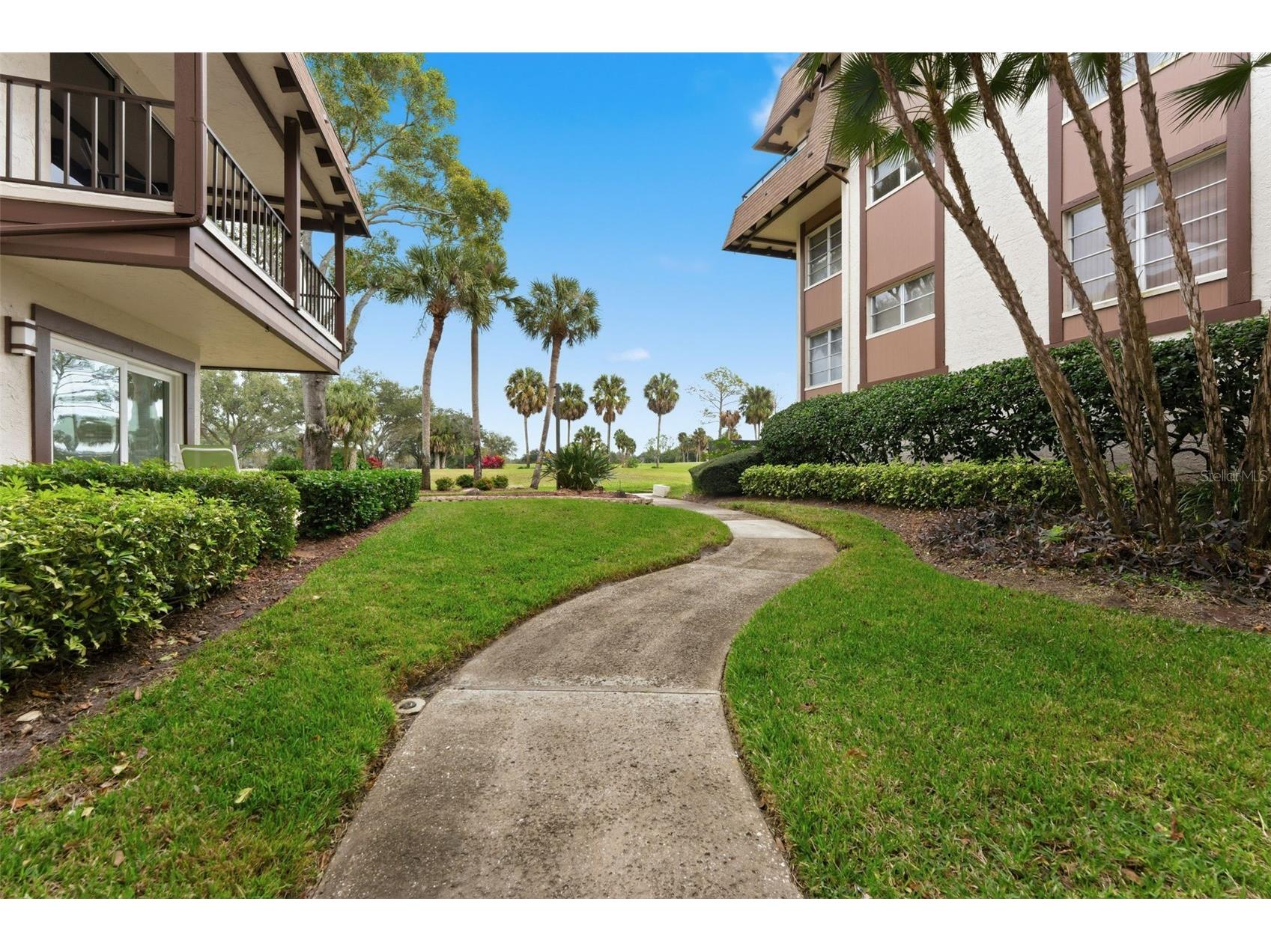 3021 Countryside Boulevard #44A Clearwater FL 33761 TB8460310 image1