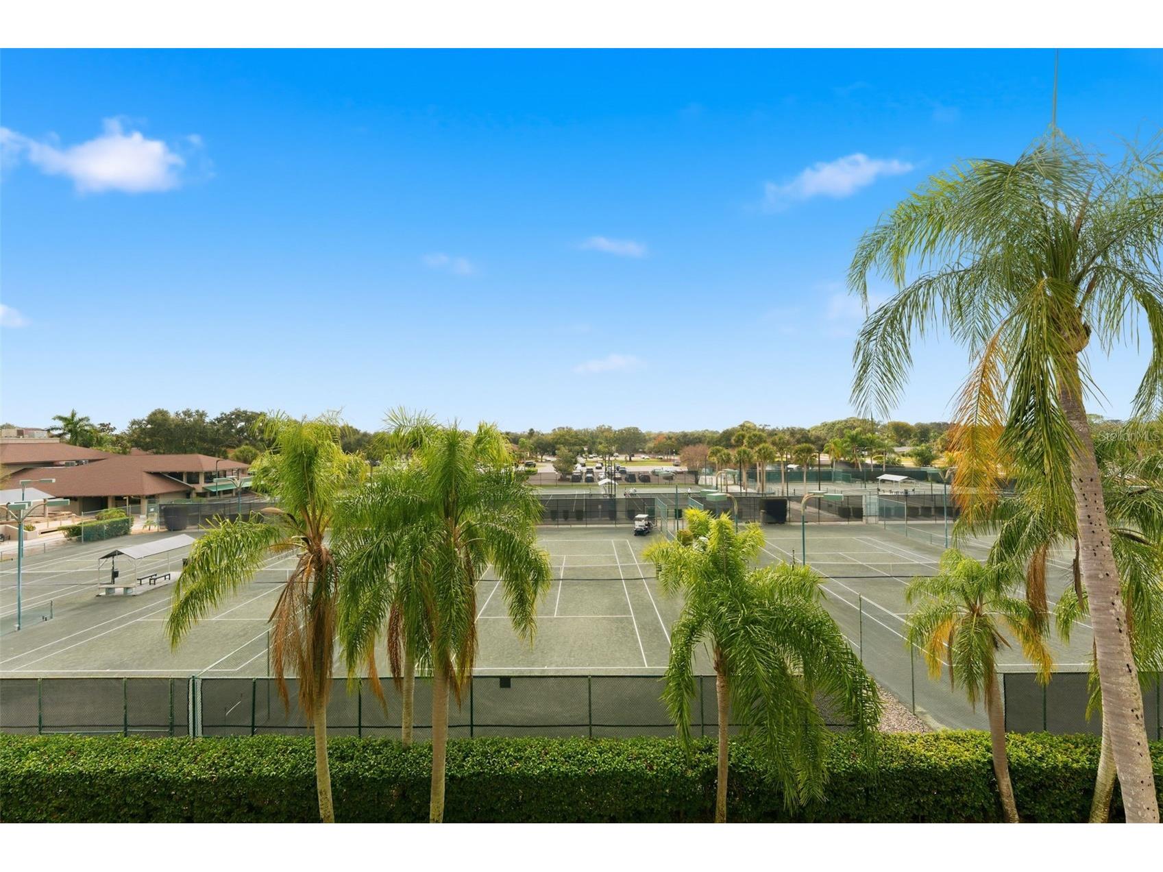 3021 Countryside Boulevard #44A Clearwater FL 33761 TB8460310 image34