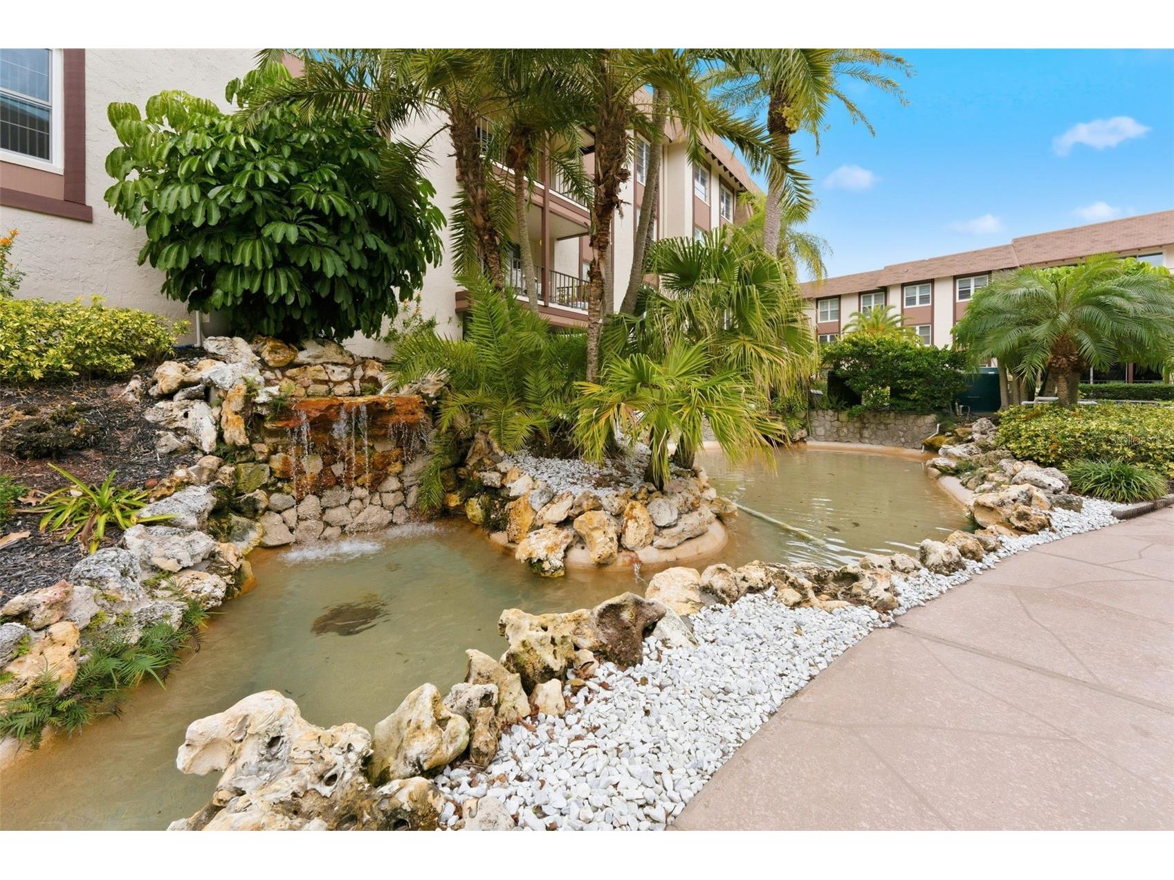 3021 Countryside Boulevard #44A Clearwater FL 33761 TB8460310 image37