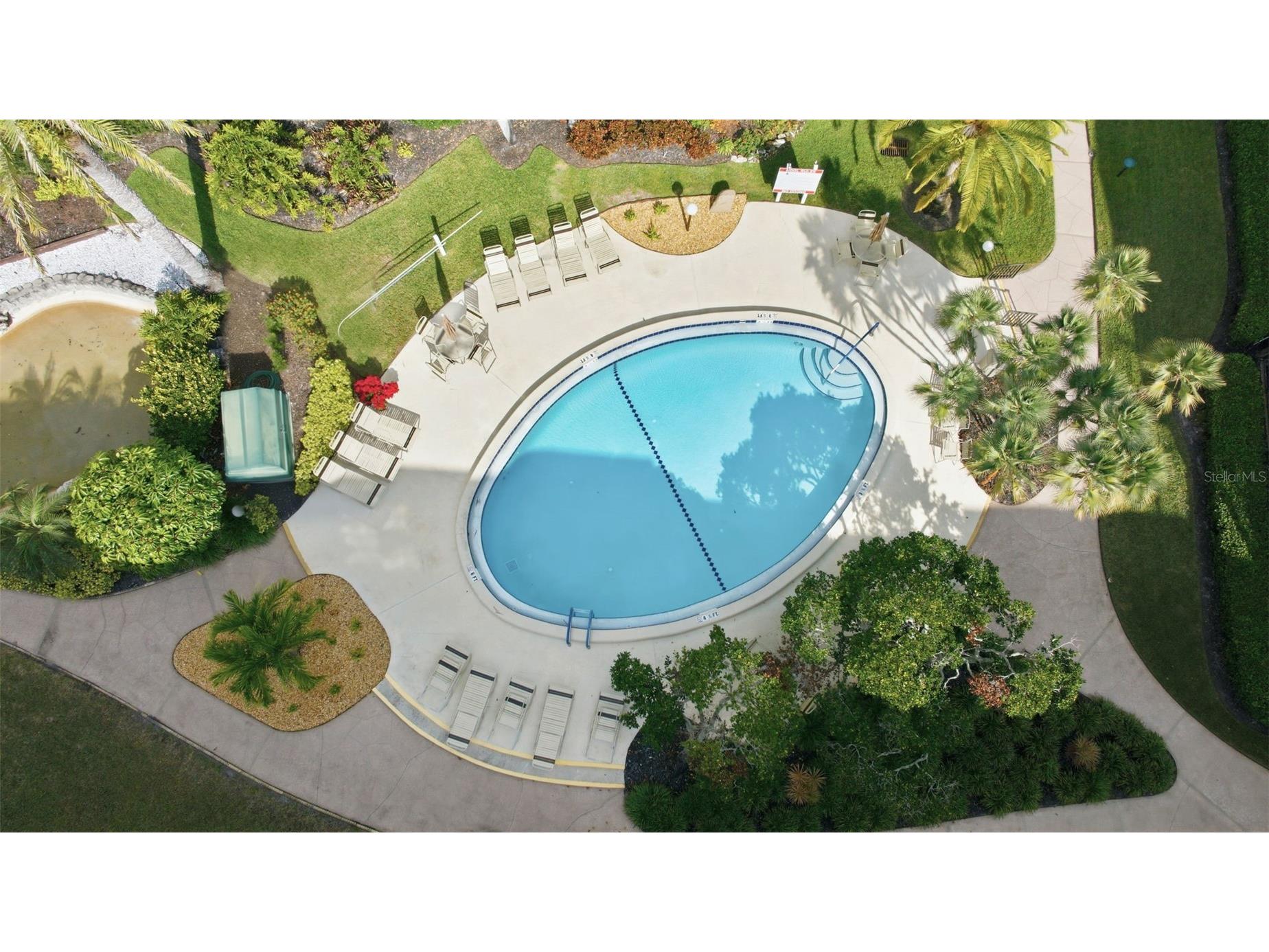 3021 Countryside Boulevard #44A Clearwater FL 33761 TB8460310 image47