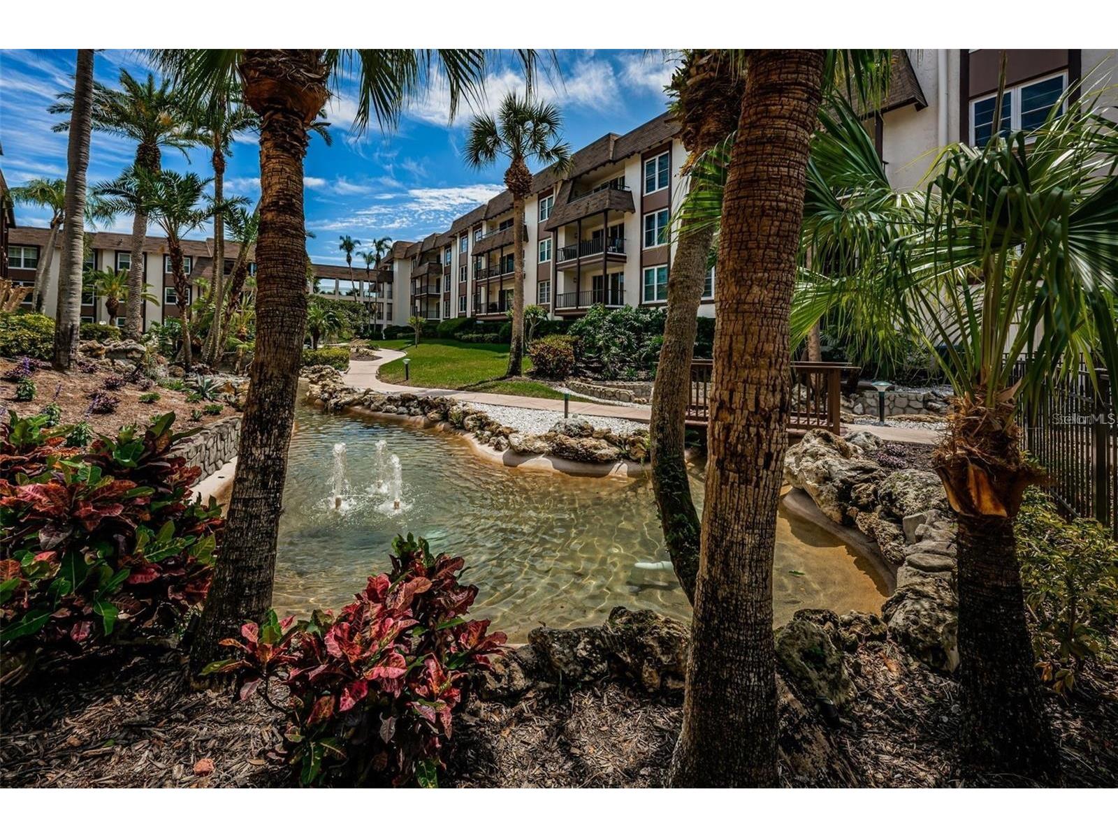 3021 Countryside Boulevard #44A Clearwater FL 33761 TB8515072 image3