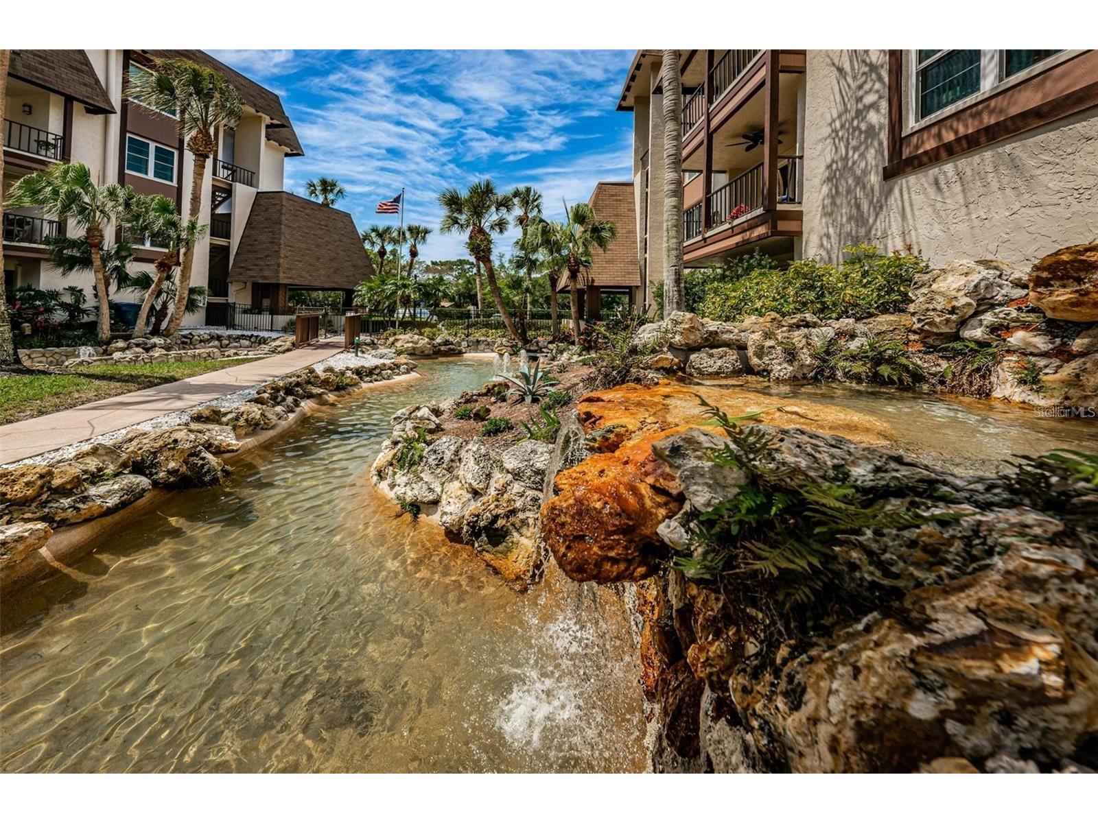 3021 Countryside Boulevard #44A Clearwater FL 33761 TB8515072 image4