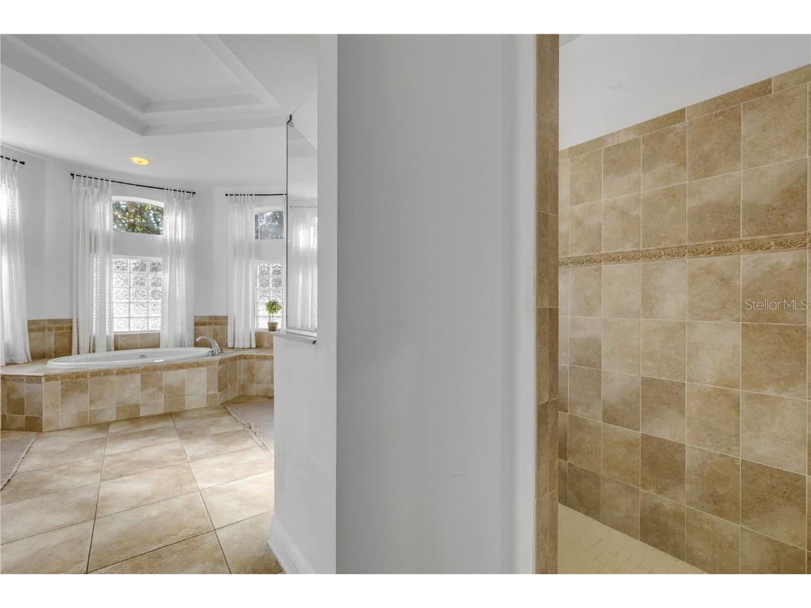 3021 Isola Bella Boulevard Mount Dora FL 32757 NS1086762 image21