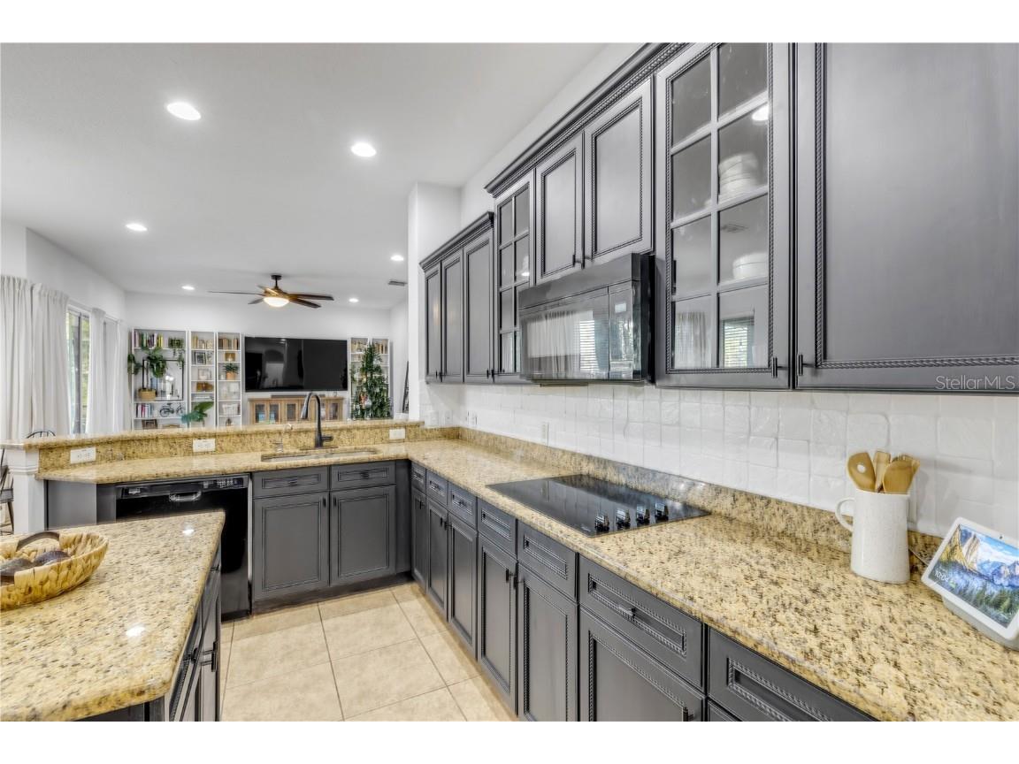 3021 Isola Bella Boulevard Mount Dora FL 32757 NS1086762 image43