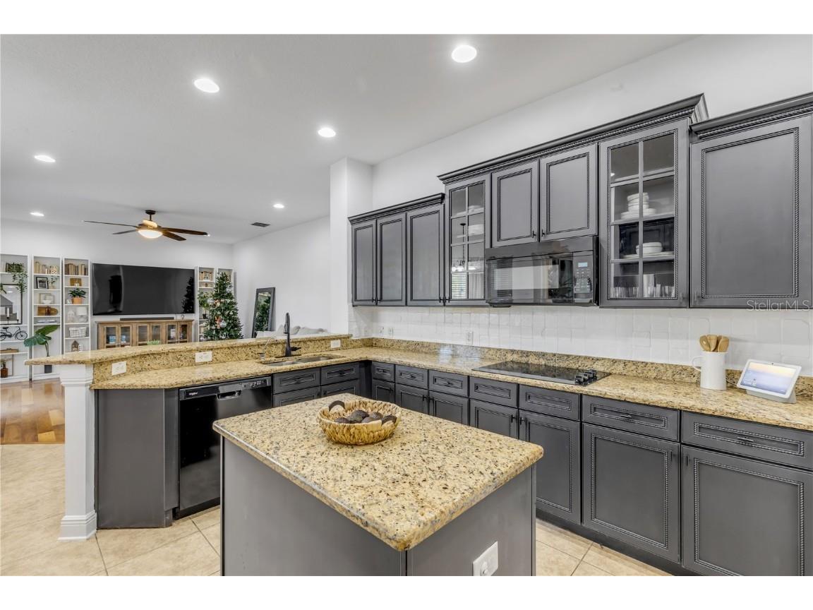 3021 Isola Bella Boulevard Mount Dora FL 32757 NS1086762 image45