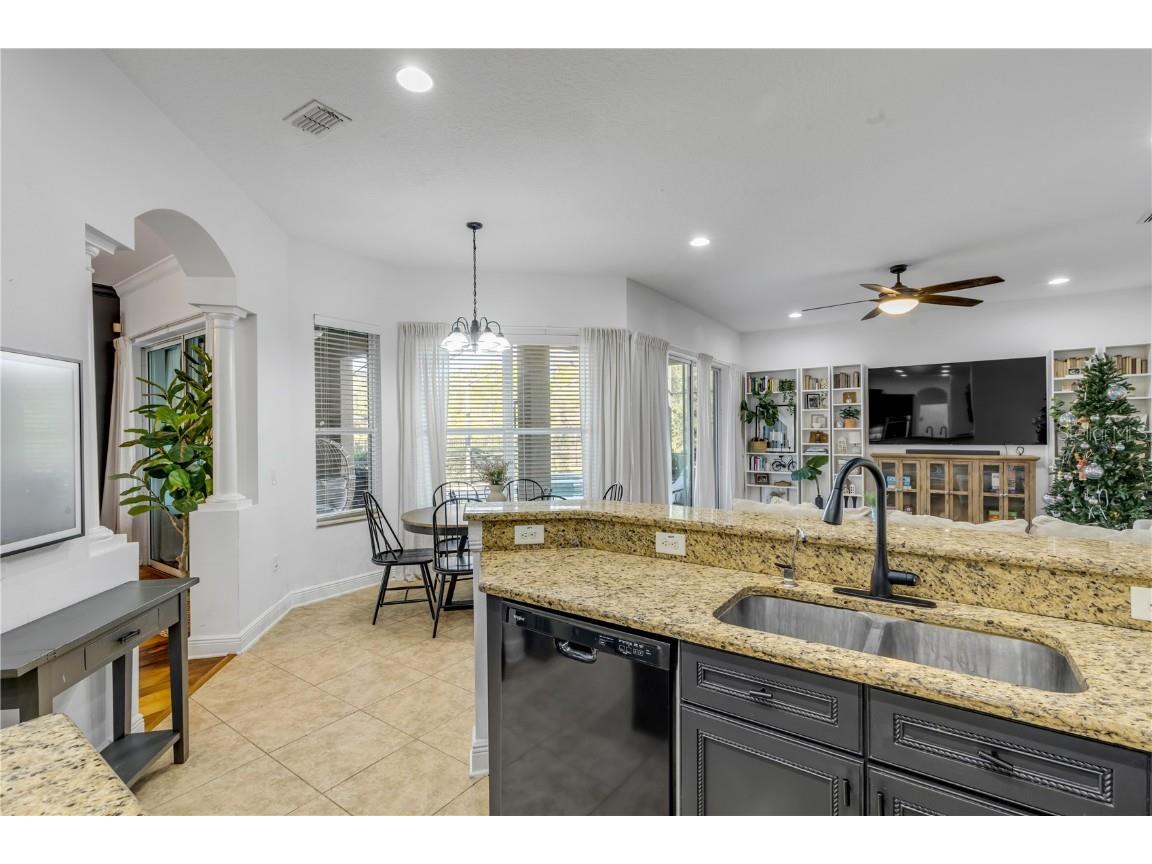 3021 Isola Bella Boulevard Mount Dora FL 32757 NS1086762 image47