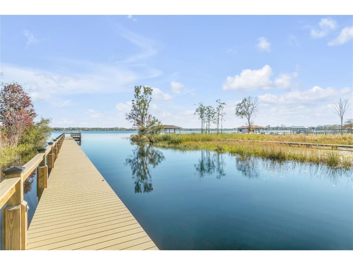 3021 Isola Bella Boulevard Mount Dora FL 32757 NS1086762 image90