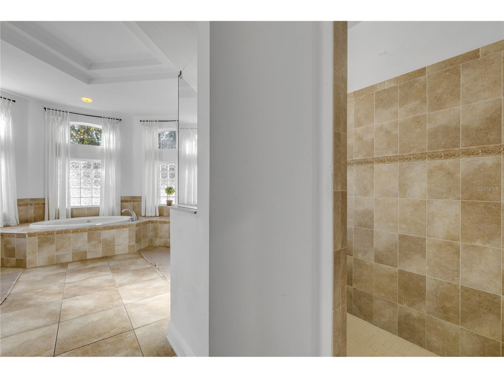 3021 Isola Bella Boulevard Mount Dora FL 32757 NS1088222 image22