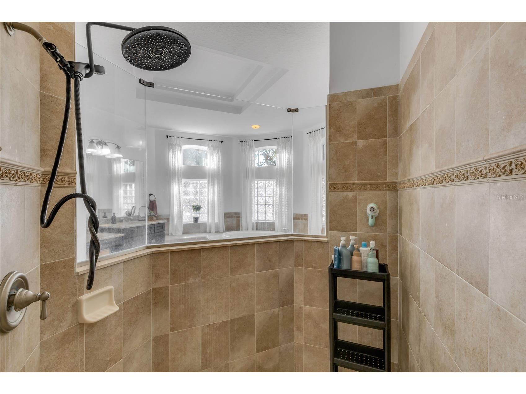 3021 Isola Bella Boulevard Mount Dora FL 32757 NS1088222 image28