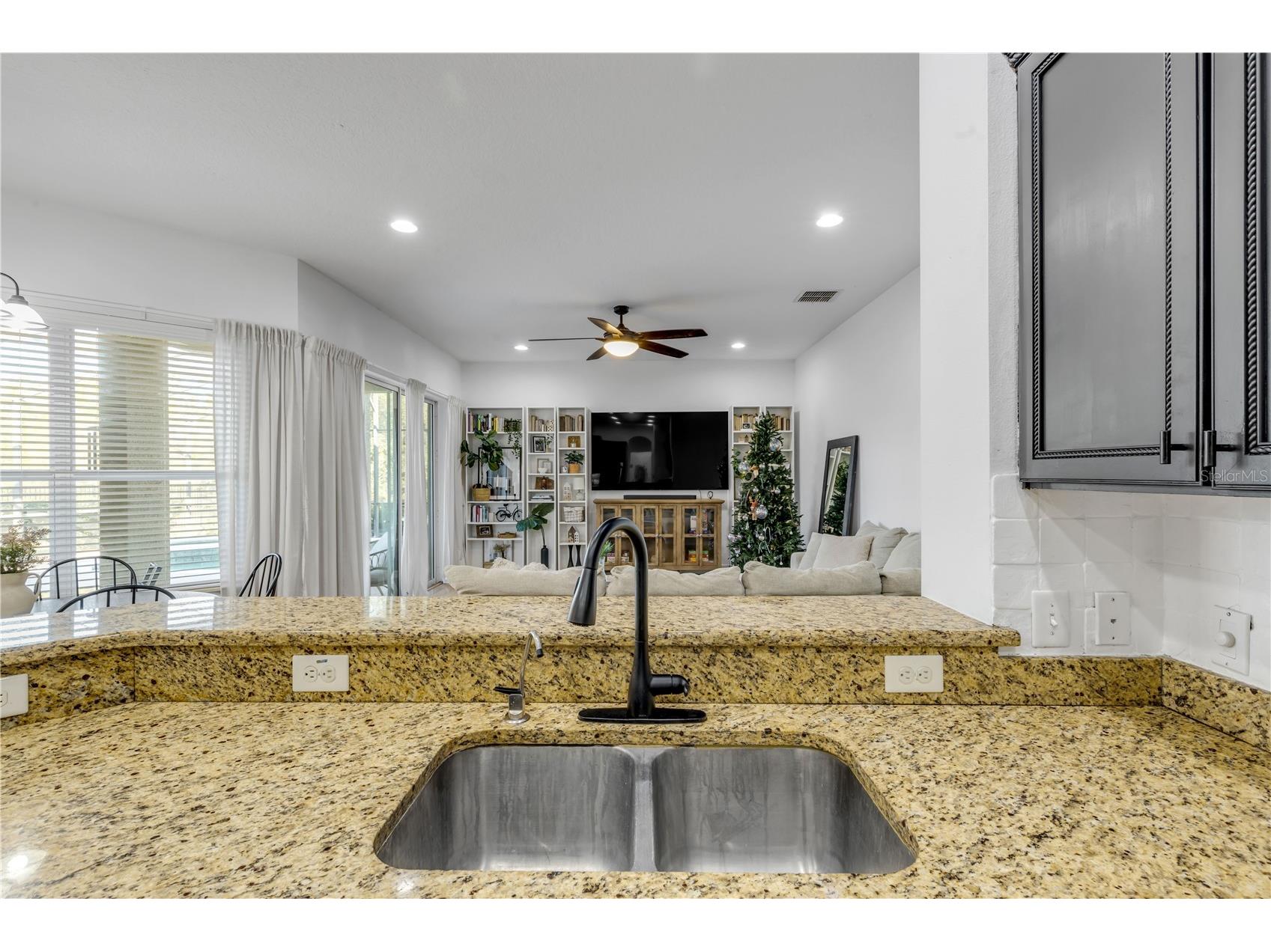 3021 Isola Bella Boulevard Mount Dora FL 32757 NS1088222 image47