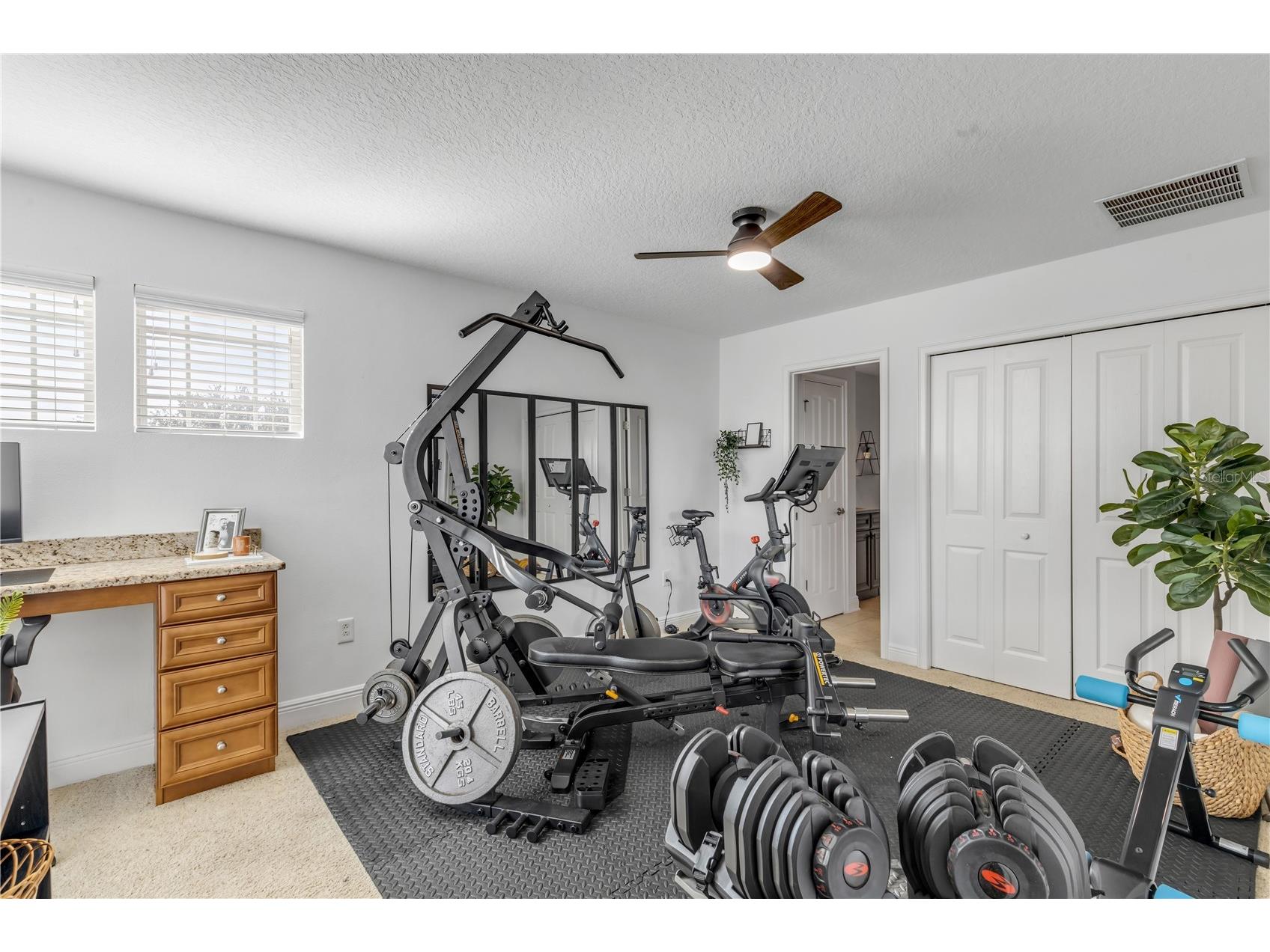 3021 Isola Bella Boulevard Mount Dora FL 32757 NS1088222 image60